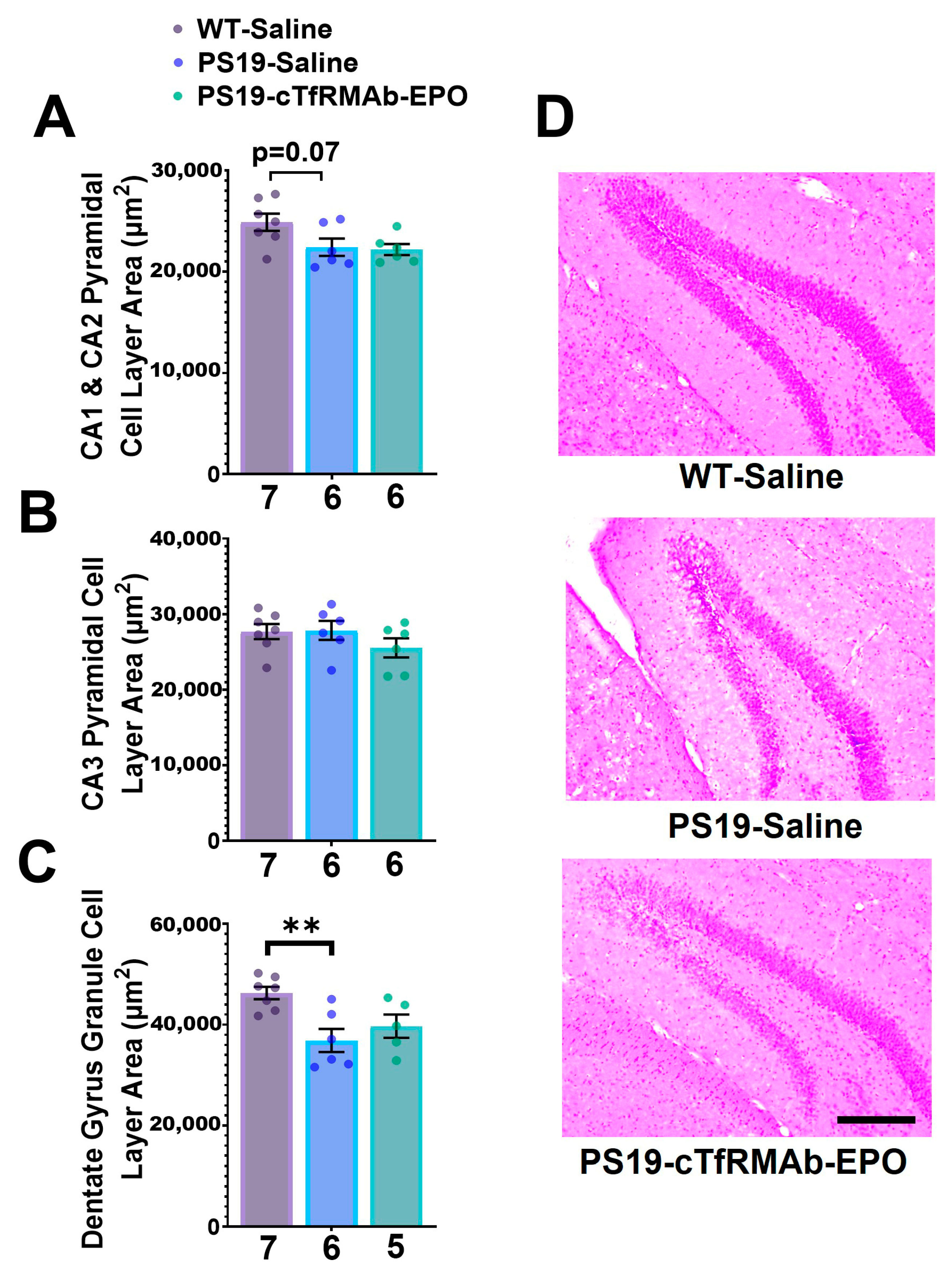 Pharmaceuticals 16 00558 g004 Pharmaceuticals 16 00558 g004