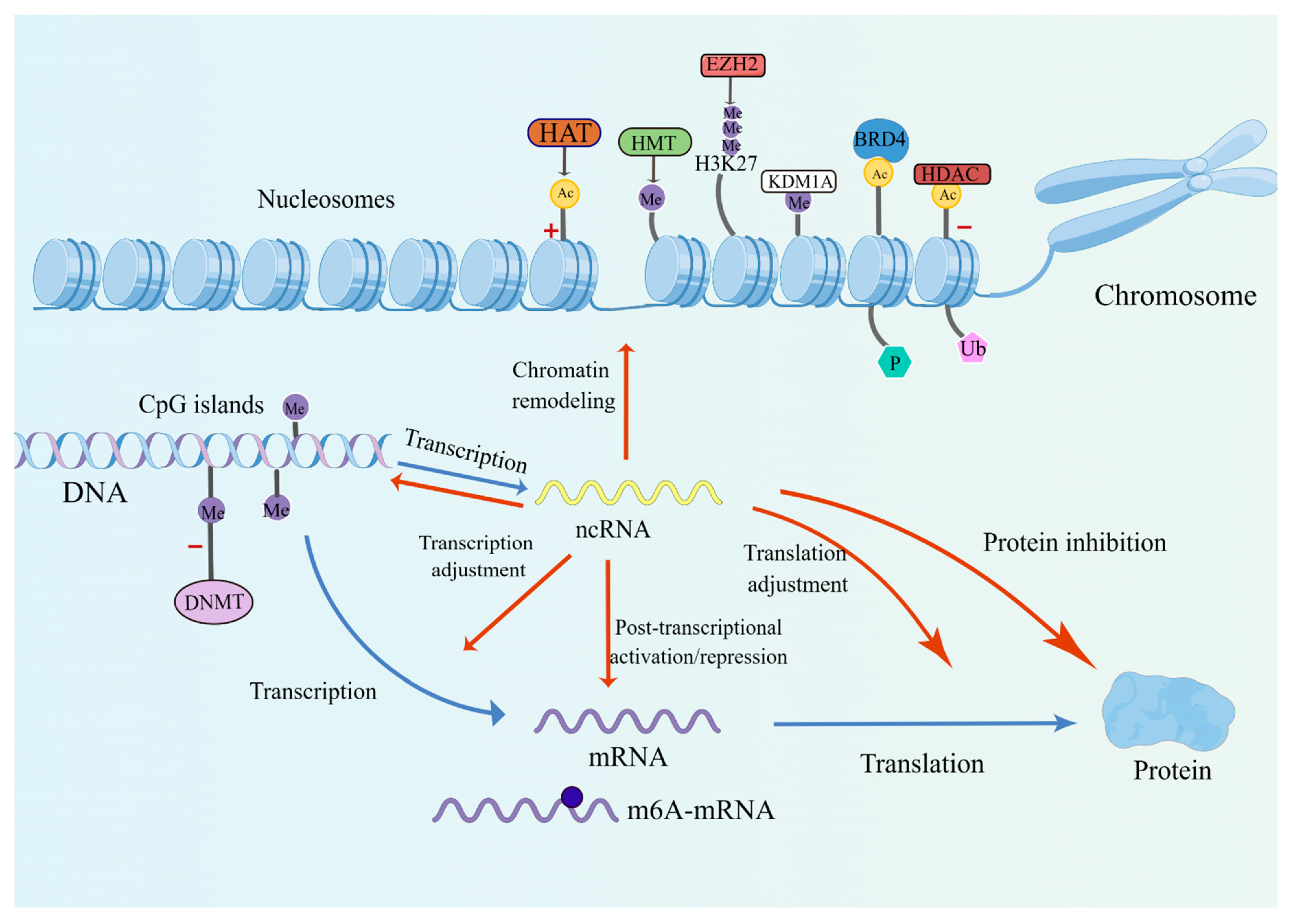 Pharmaceuticals 16 00559 g001 Pharmaceuticals 16 00559 g001