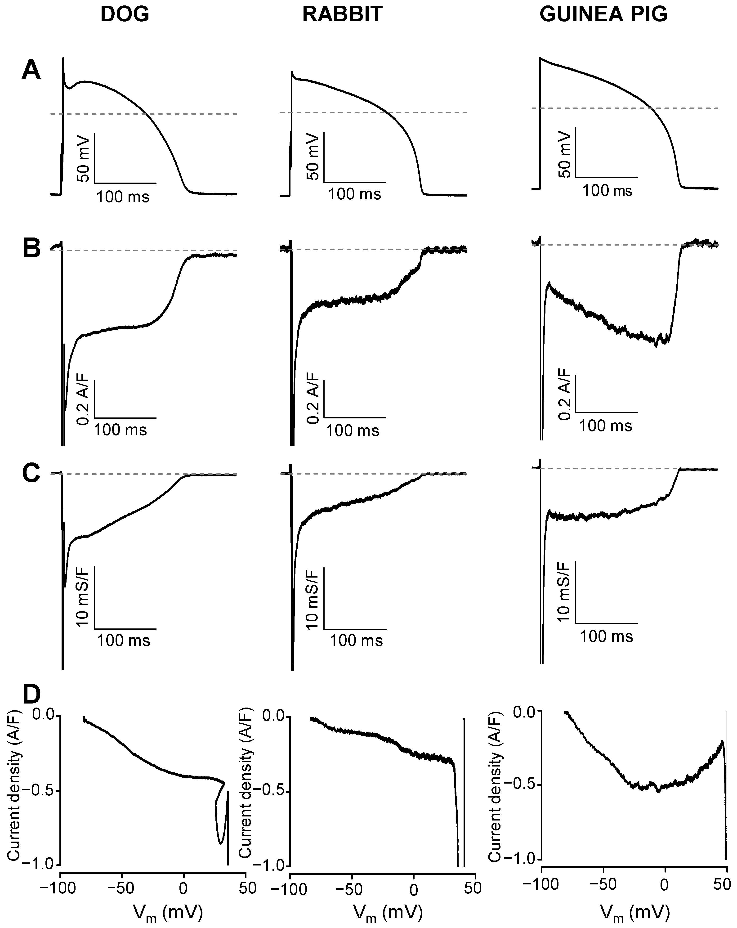 Pharmaceuticals 16 00560 g001 Pharmaceuticals 16 00560 g001