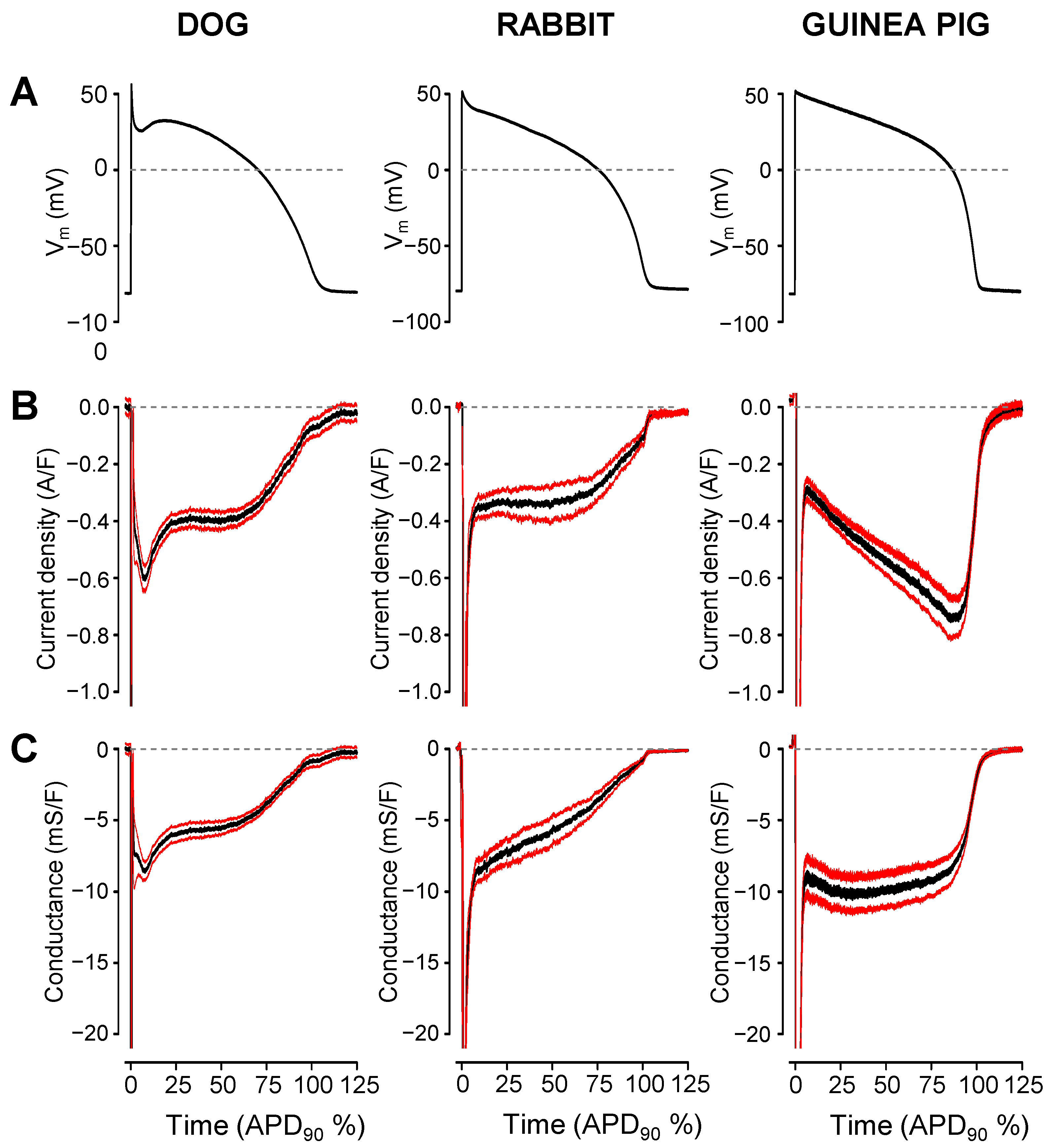 Pharmaceuticals 16 00560 g002 Pharmaceuticals 16 00560 g002