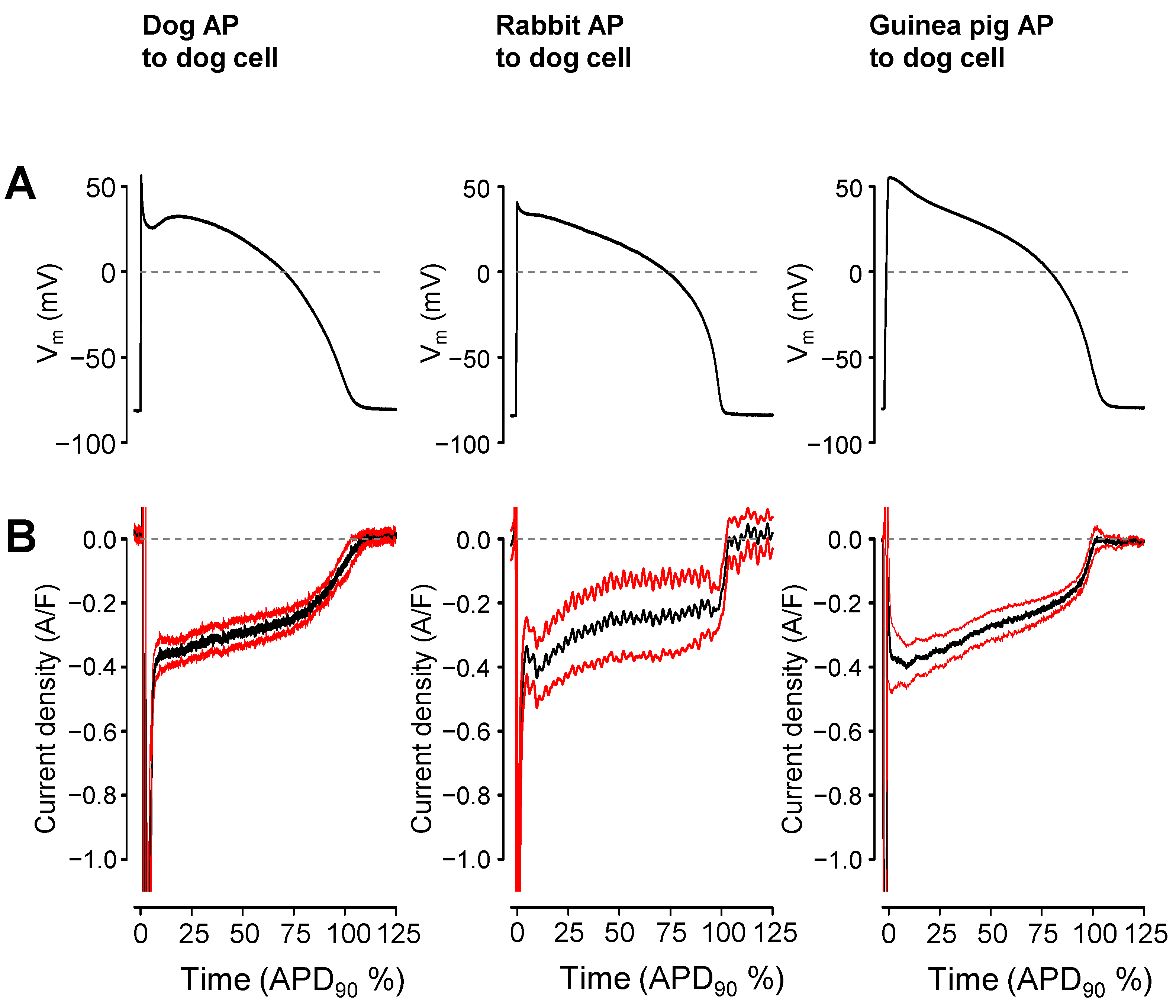 Pharmaceuticals 16 00560 g004 Pharmaceuticals 16 00560 g004