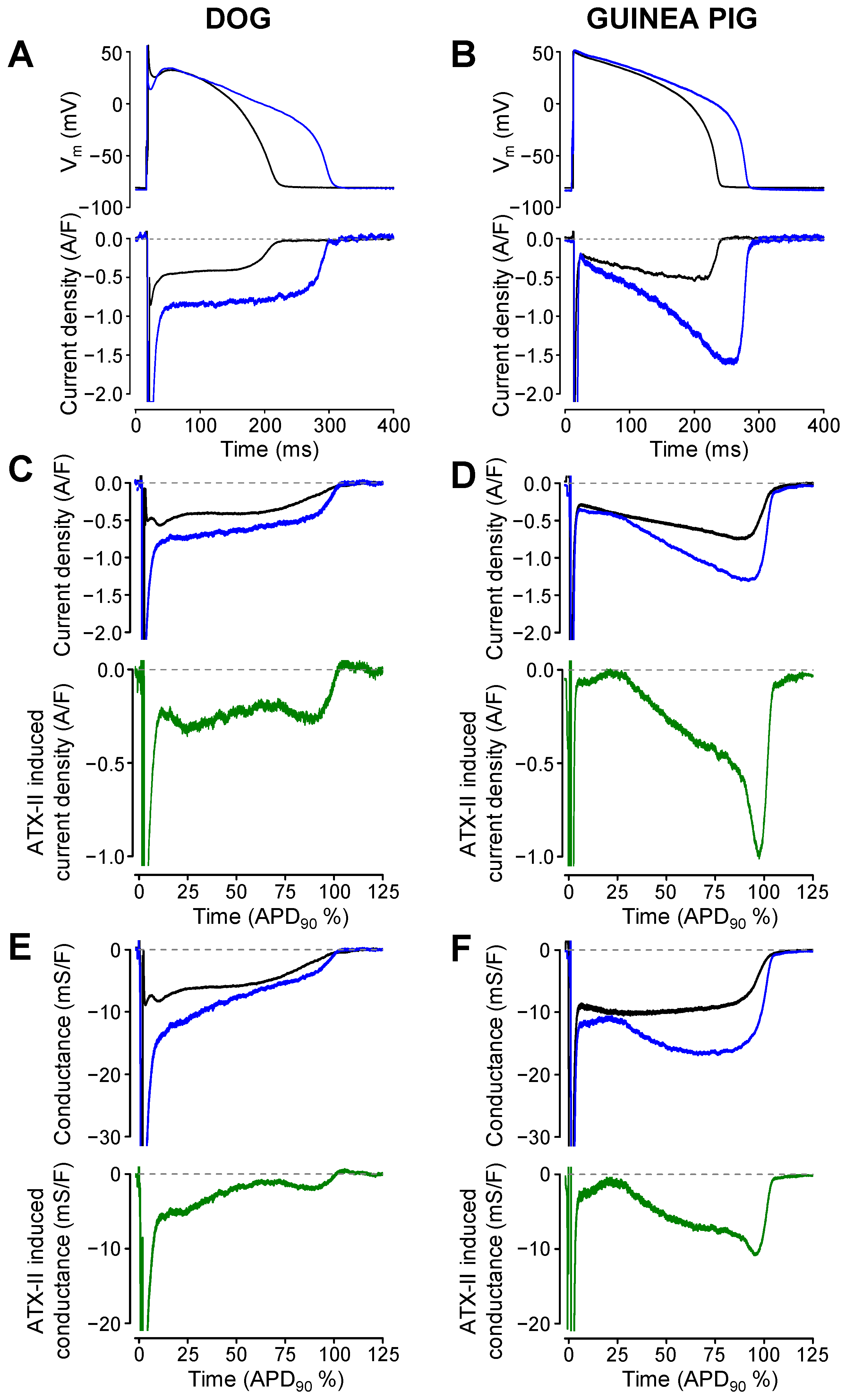 Pharmaceuticals 16 00560 g006 Pharmaceuticals 16 00560 g006