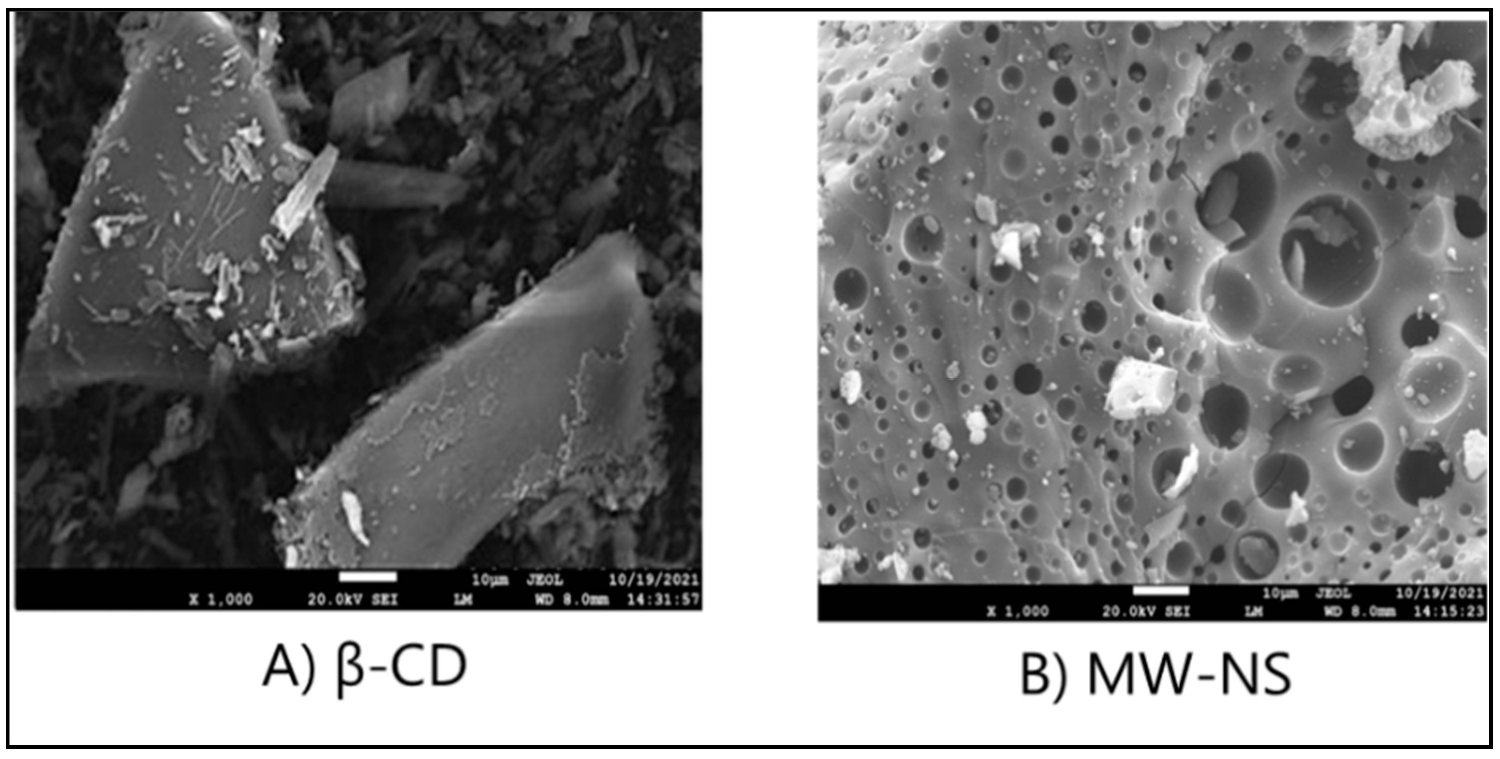Pharmaceuticals 16 00567 g009 Pharmaceuticals 16 00567 g009
