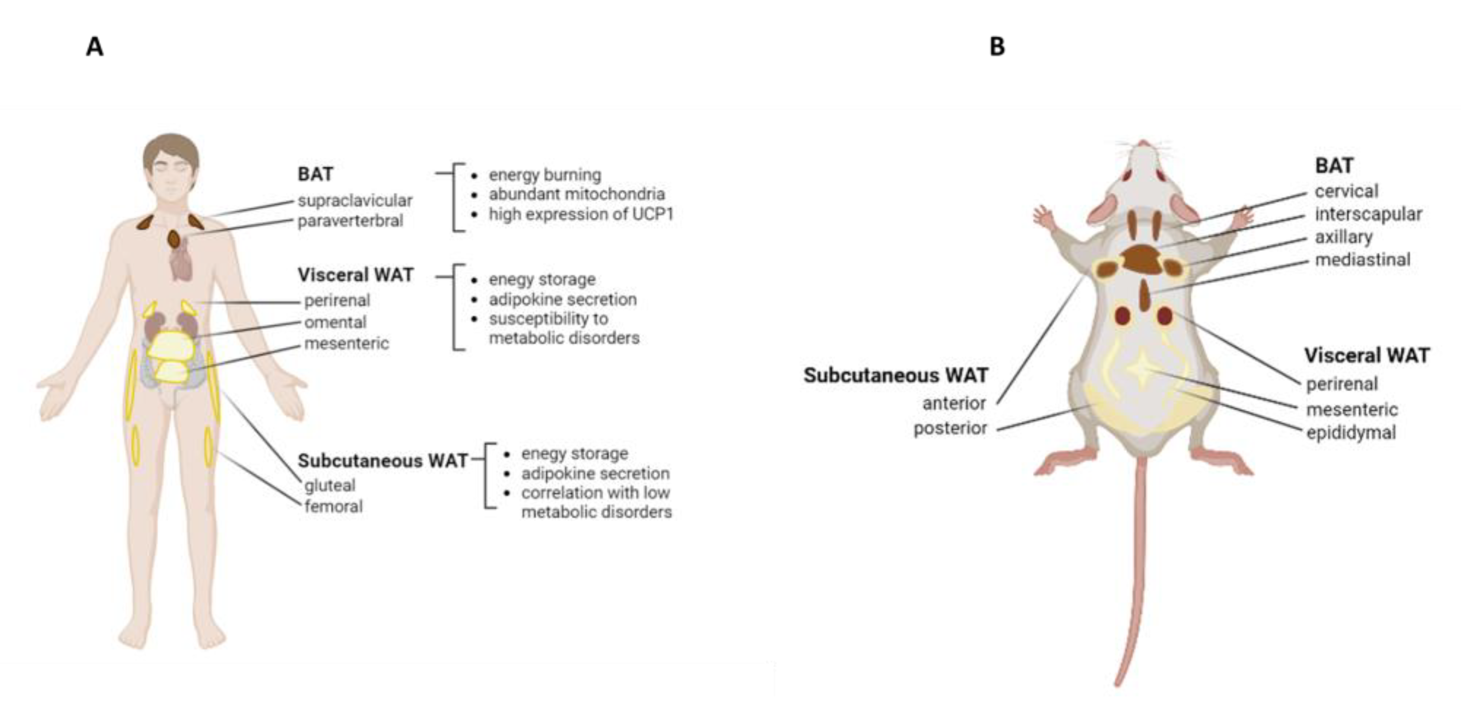 Pharmaceuticals 16 00572 g001 Pharmaceuticals 16 00572 g001