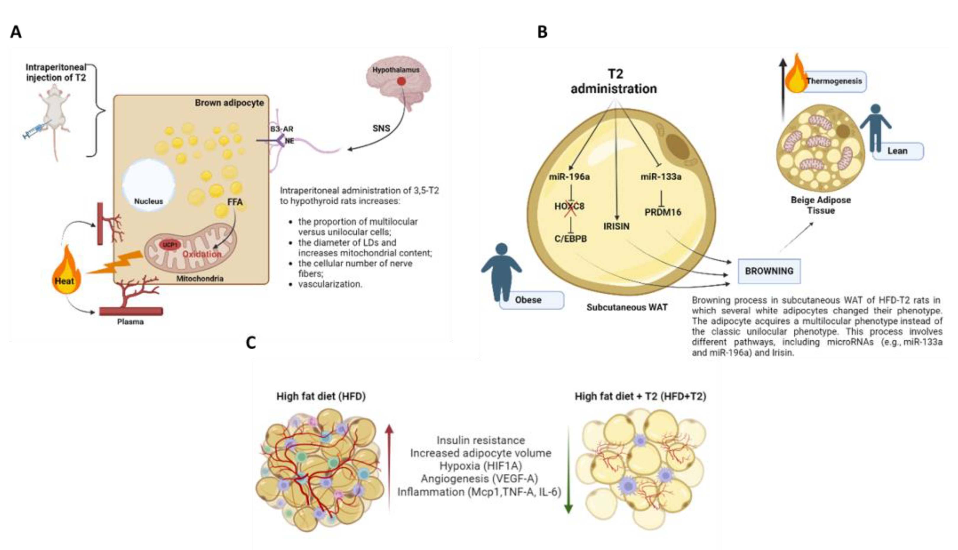 Pharmaceuticals 16 00572 g003 Pharmaceuticals 16 00572 g003