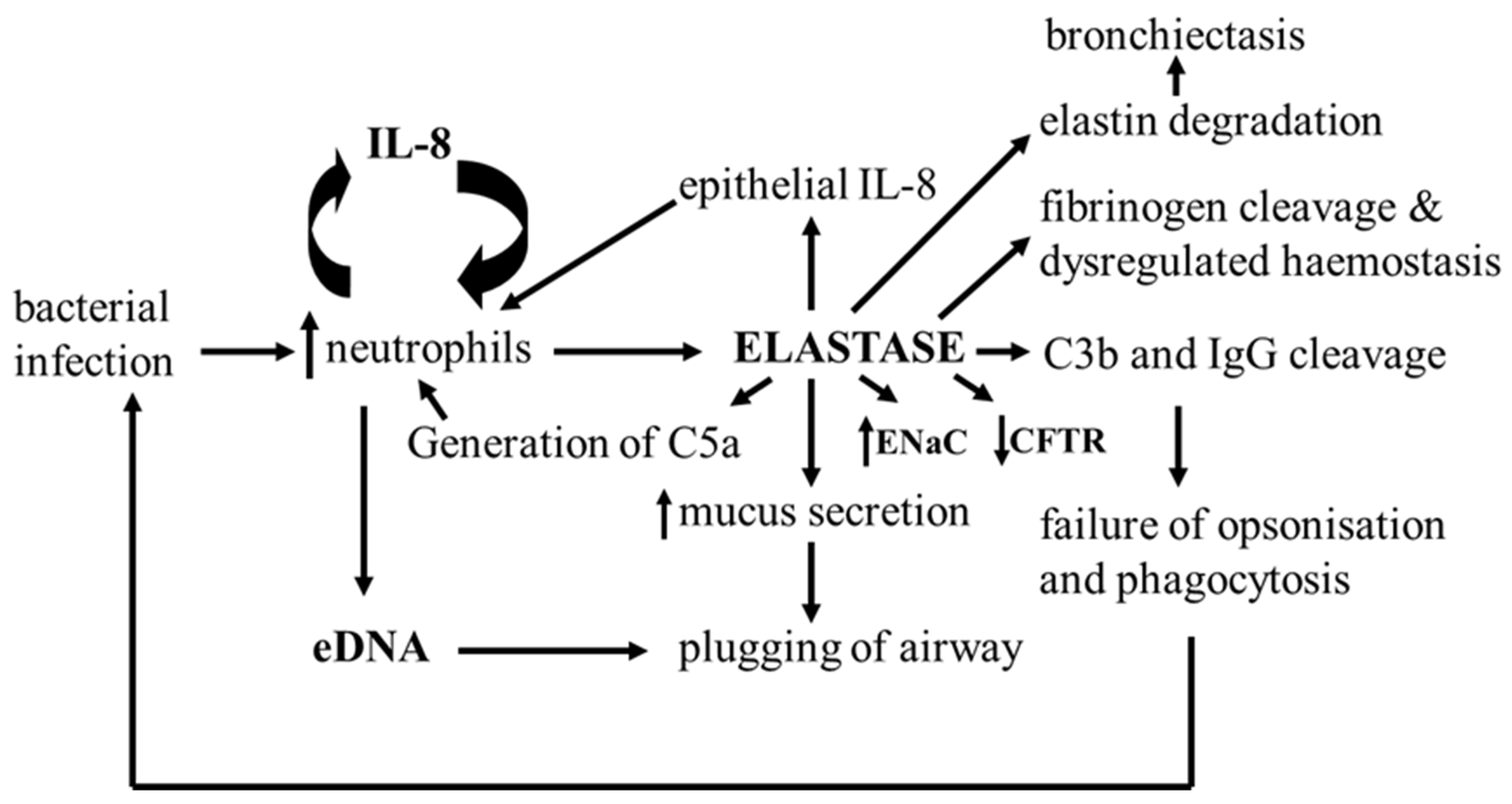 Pharmaceuticals 16 00584 g003 Pharmaceuticals 16 00584 g003