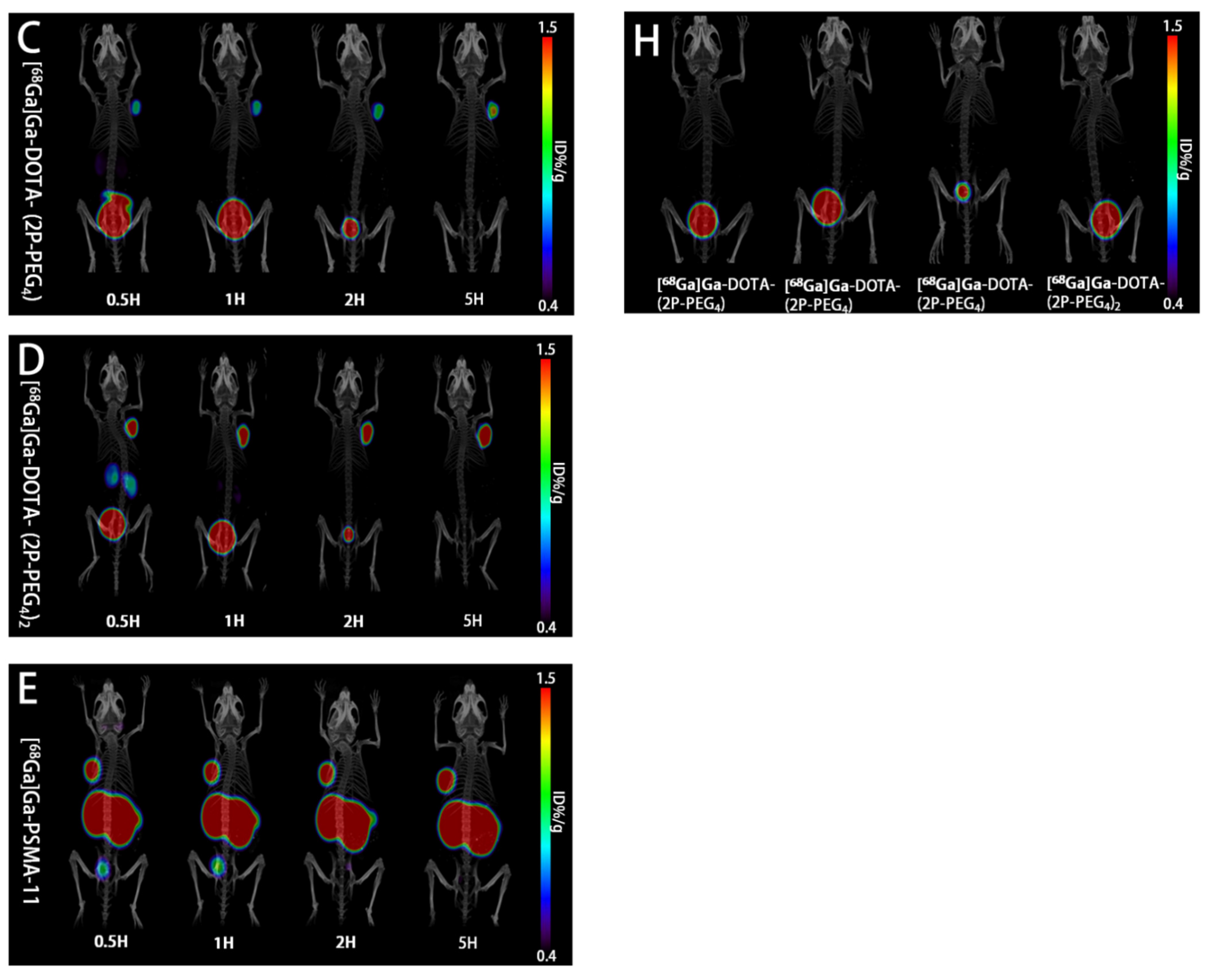 Pharmaceuticals 16 00589 g006b Pharmaceuticals 16 00589 g006b