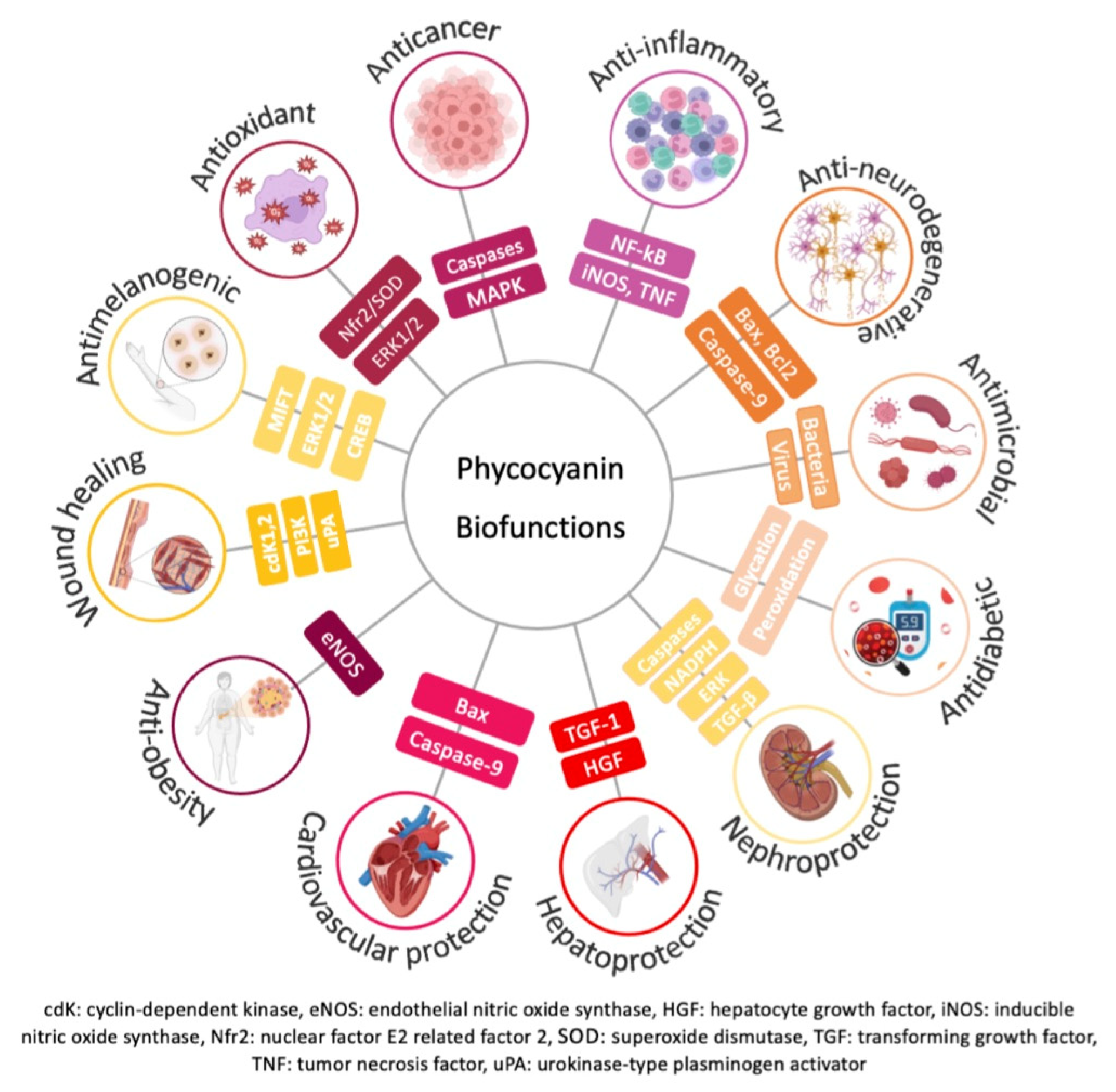 Pharmaceuticals 16 00592 g003 Pharmaceuticals 16 00592 g003
