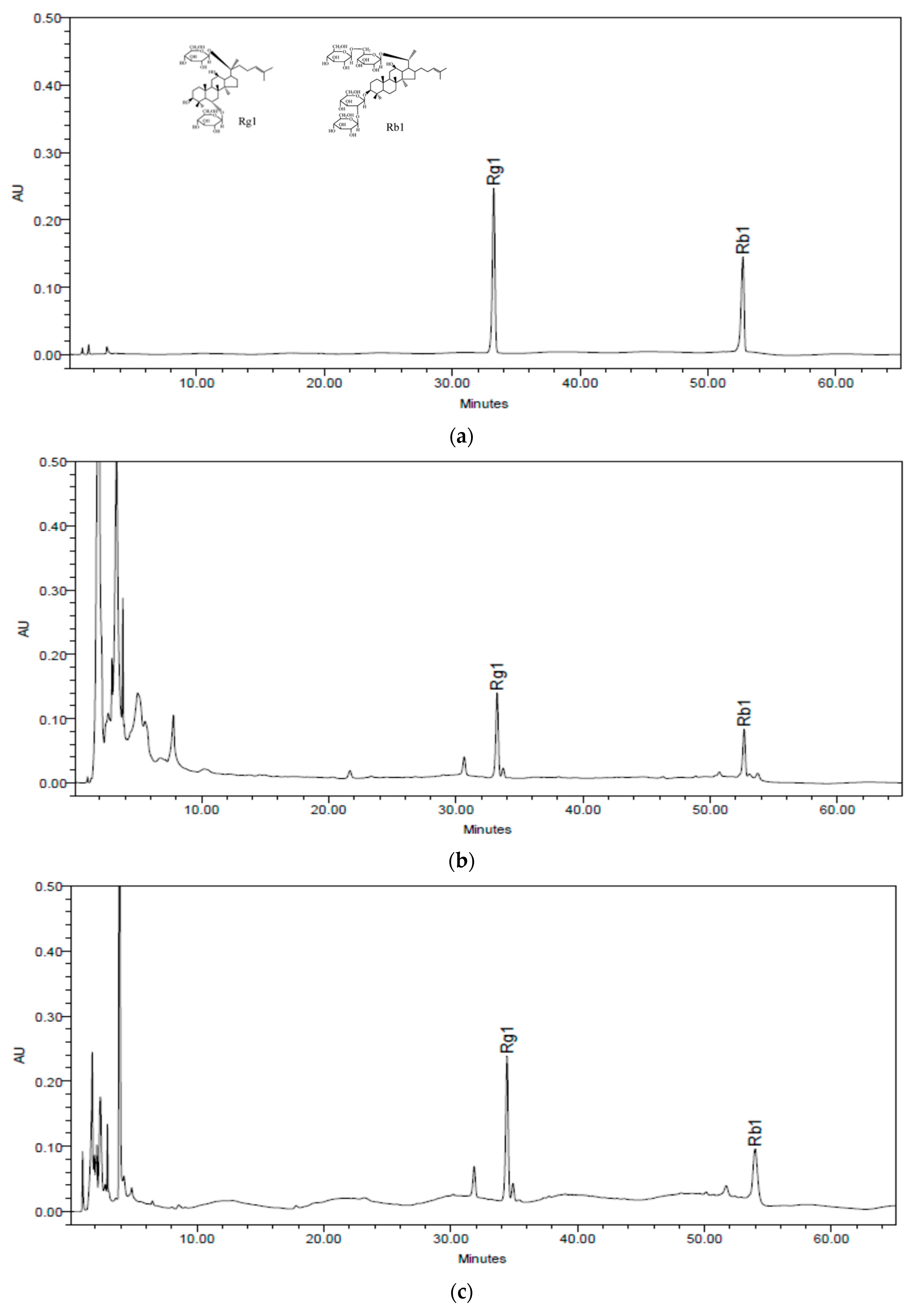 Pharmaceuticals 16 00596 g002