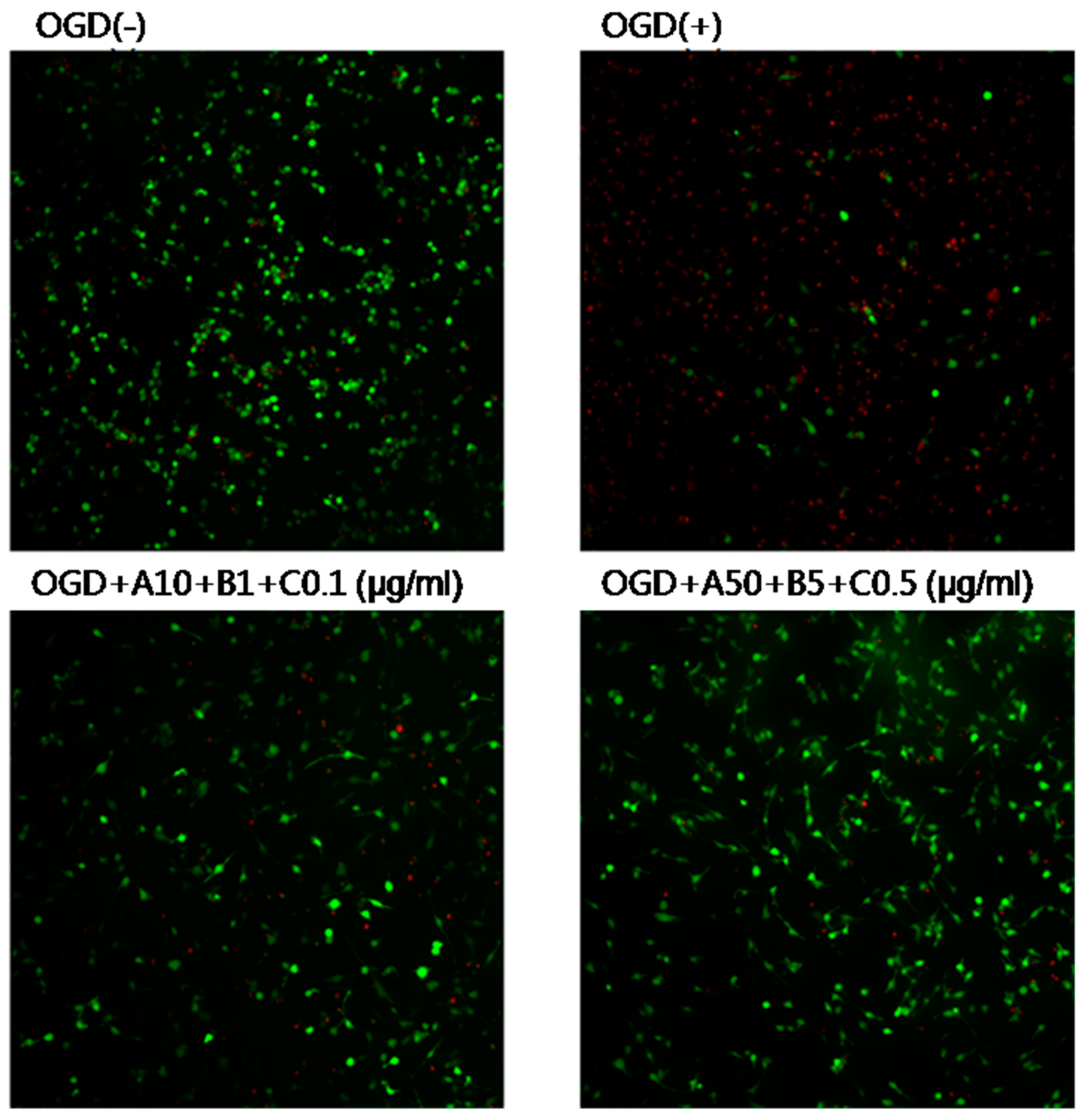 Pharmaceuticals 16 00596 g007