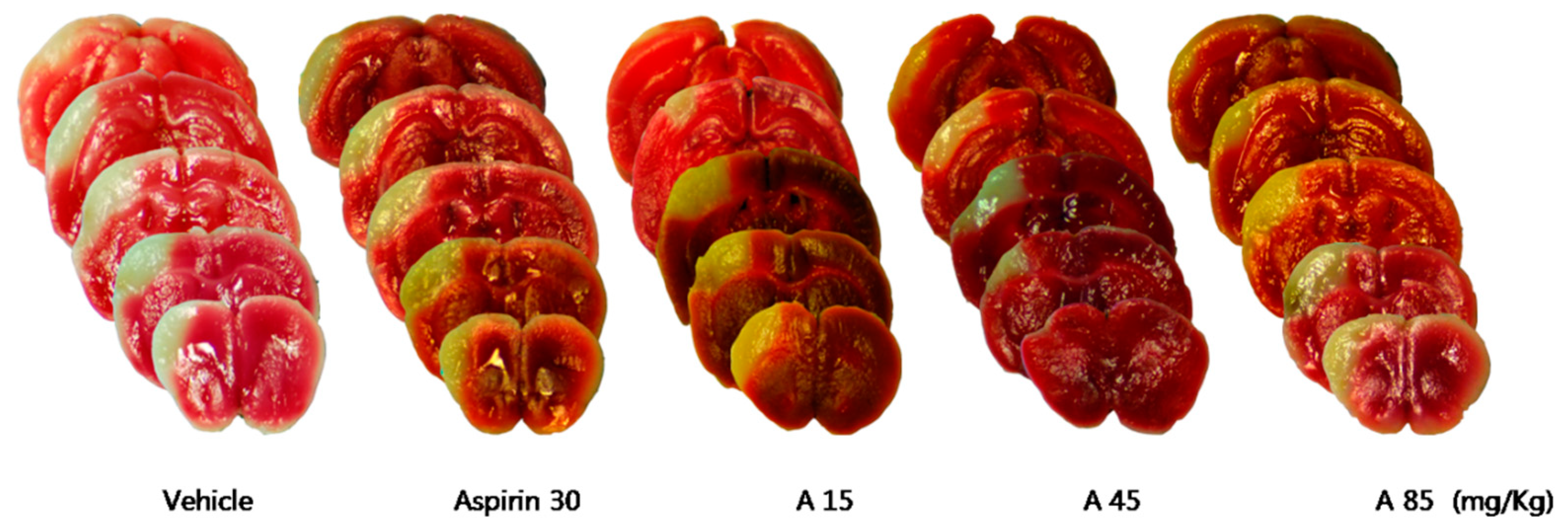Pharmaceuticals 16 00596 g008a
