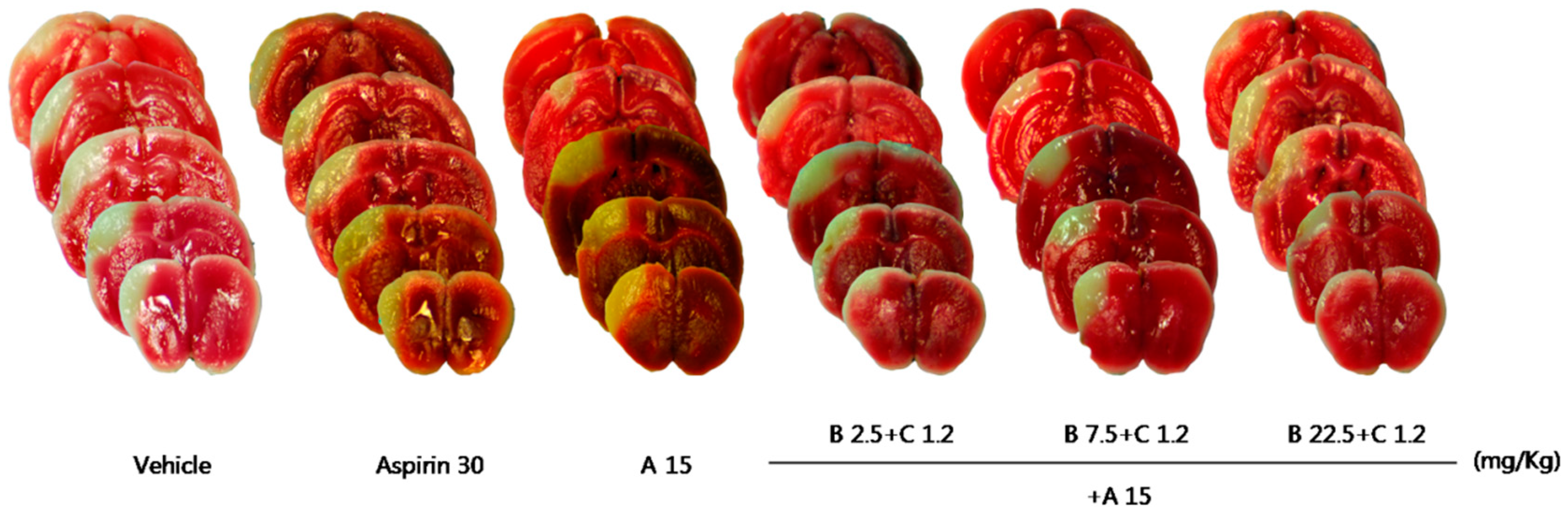 Pharmaceuticals 16 00596 g010a