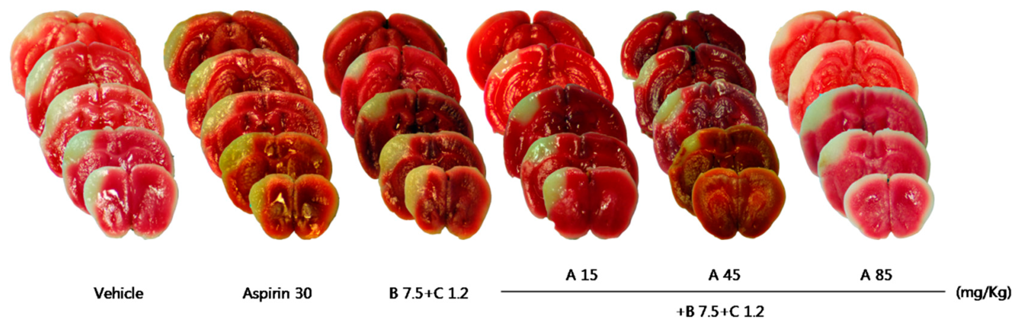 Pharmaceuticals 16 00596 g011a