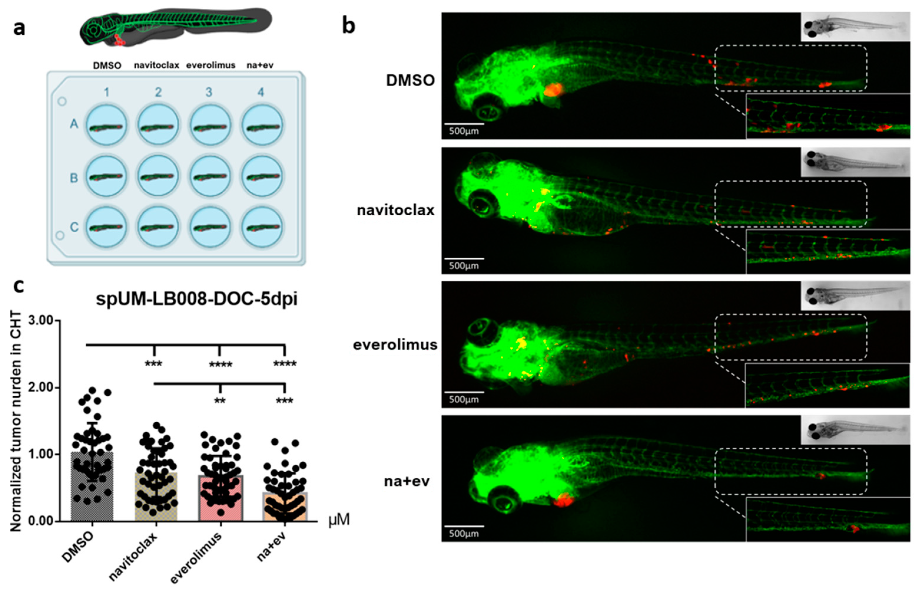 Pharmaceuticals 16 00598 g005