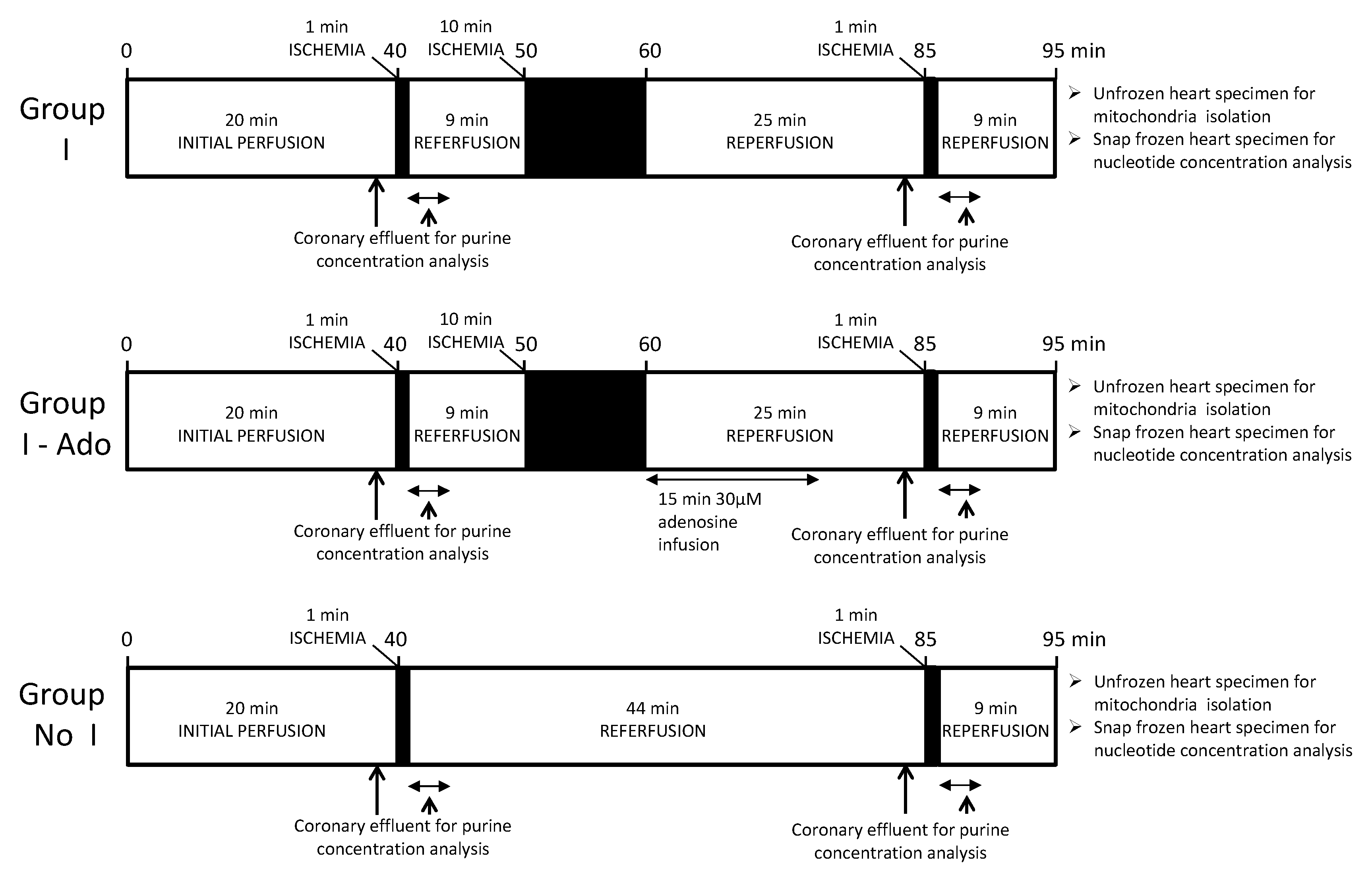 Pharmaceuticals 16 00599 g007 Pharmaceuticals 16 00599 g007