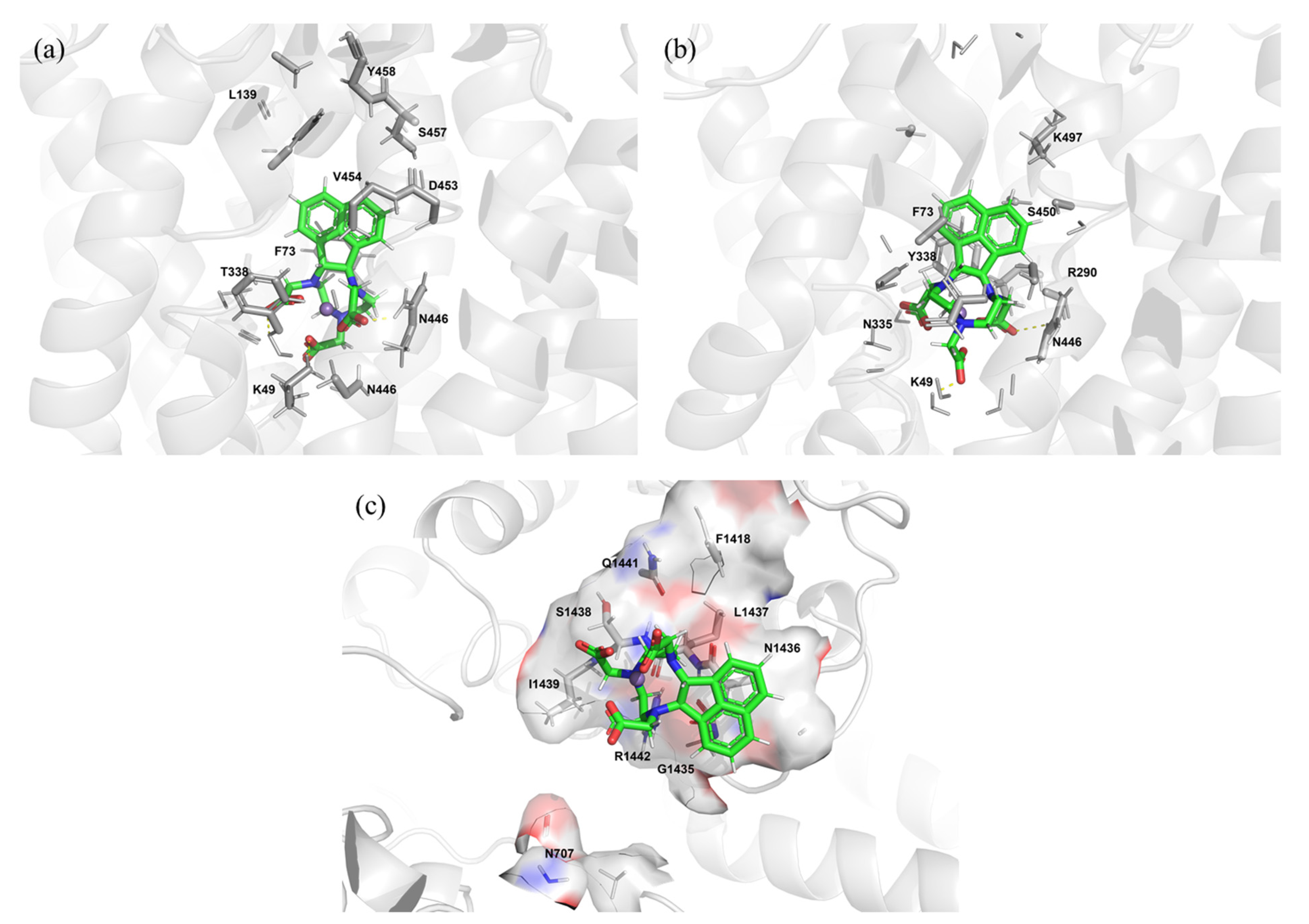 Pharmaceuticals 16 00602 g002 Pharmaceuticals 16 00602 g002