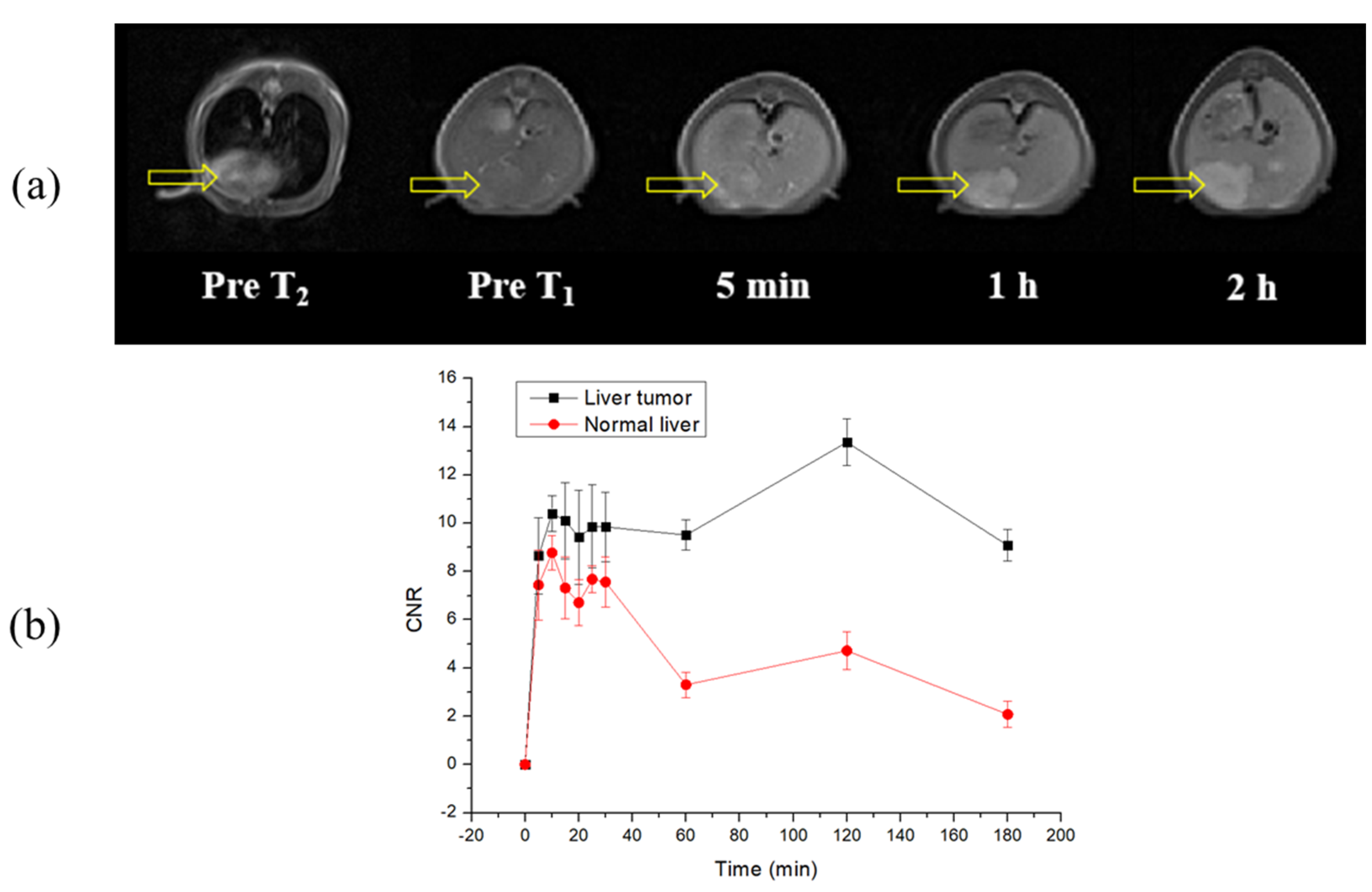Pharmaceuticals 16 00602 g006 Pharmaceuticals 16 00602 g006