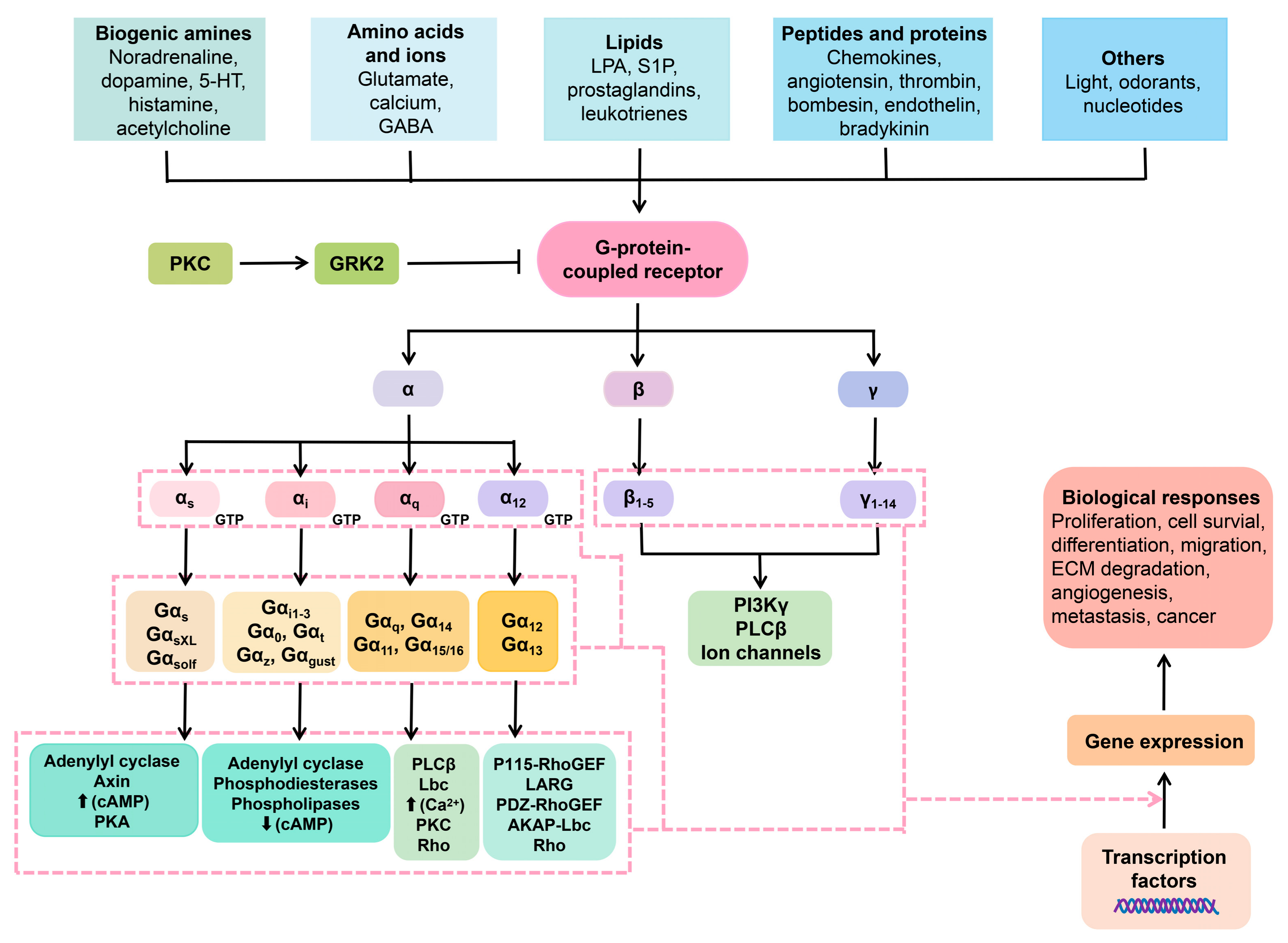 Pharmaceuticals 16 00603 g002