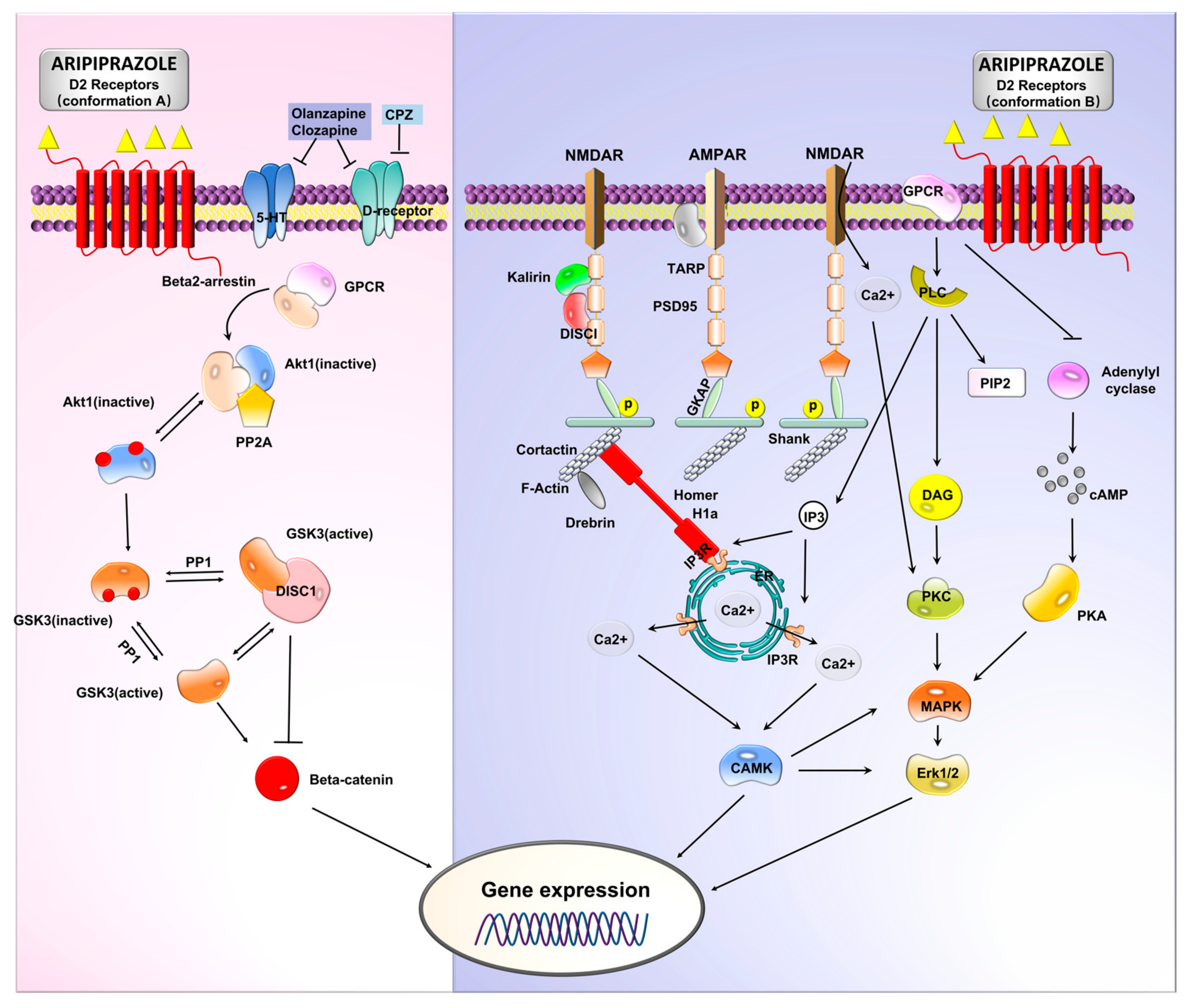 Pharmaceuticals 16 00603 g005