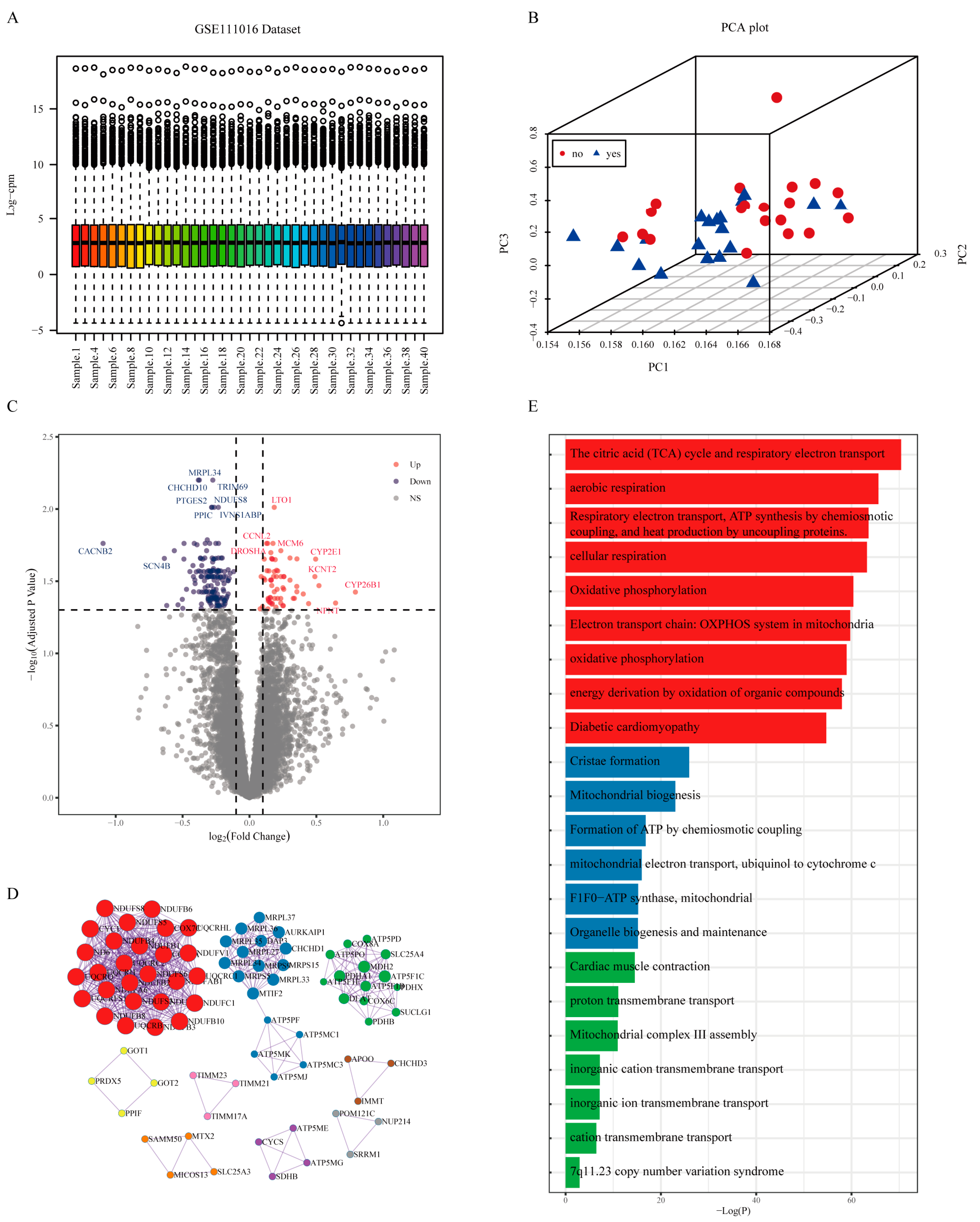 Pharmaceuticals 16 00607 g002