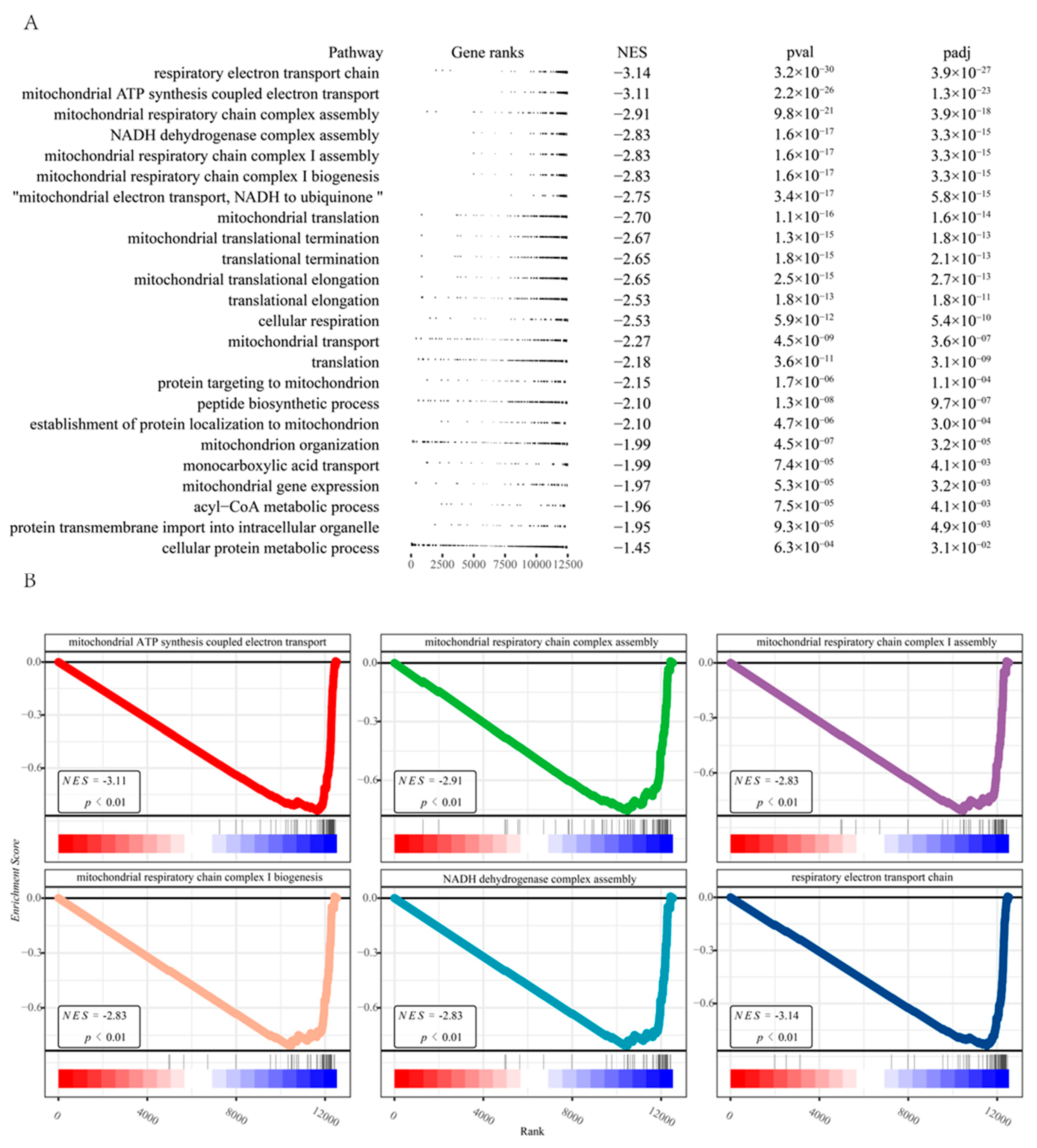 Pharmaceuticals 16 00607 g003