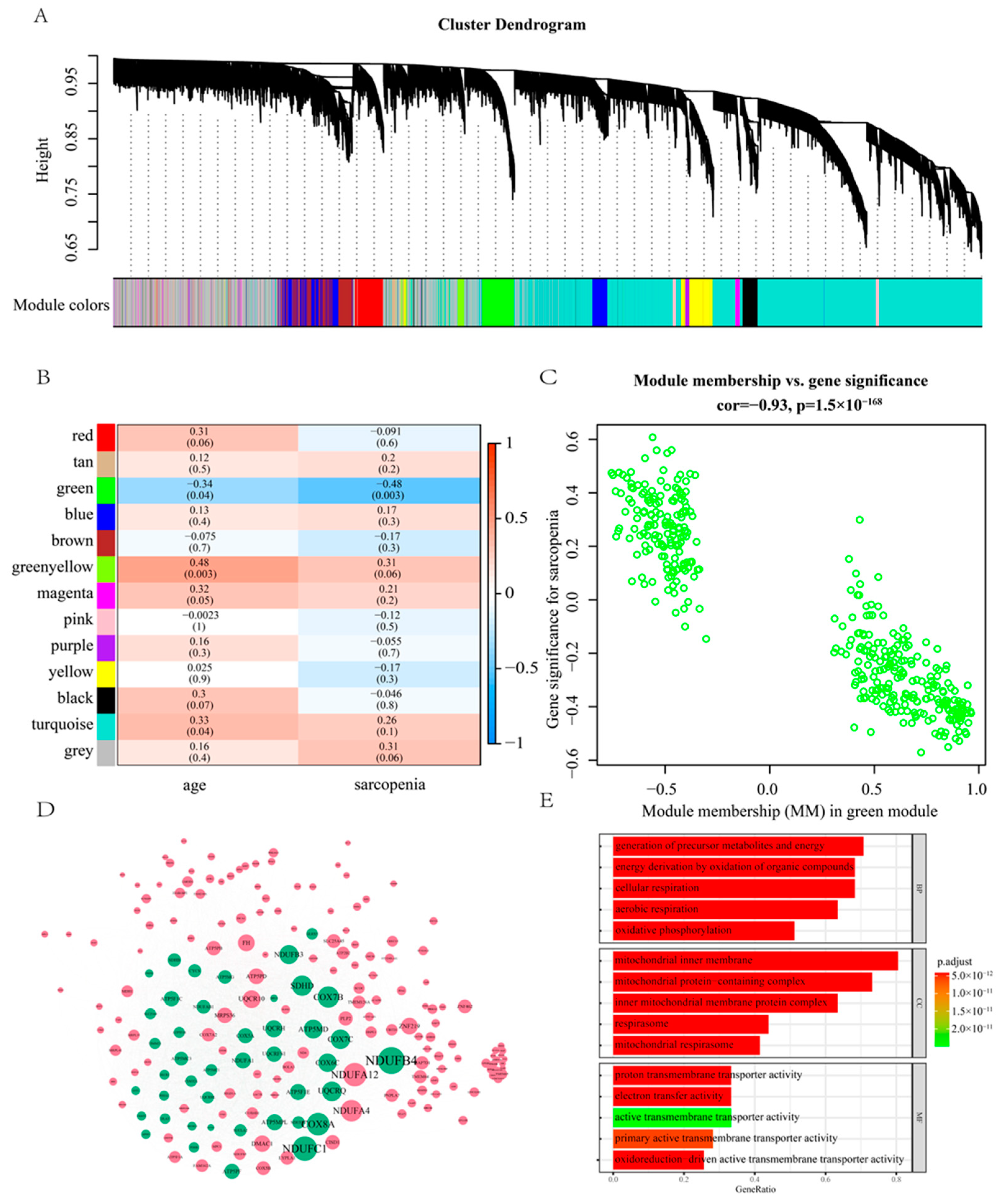 Pharmaceuticals 16 00607 g004