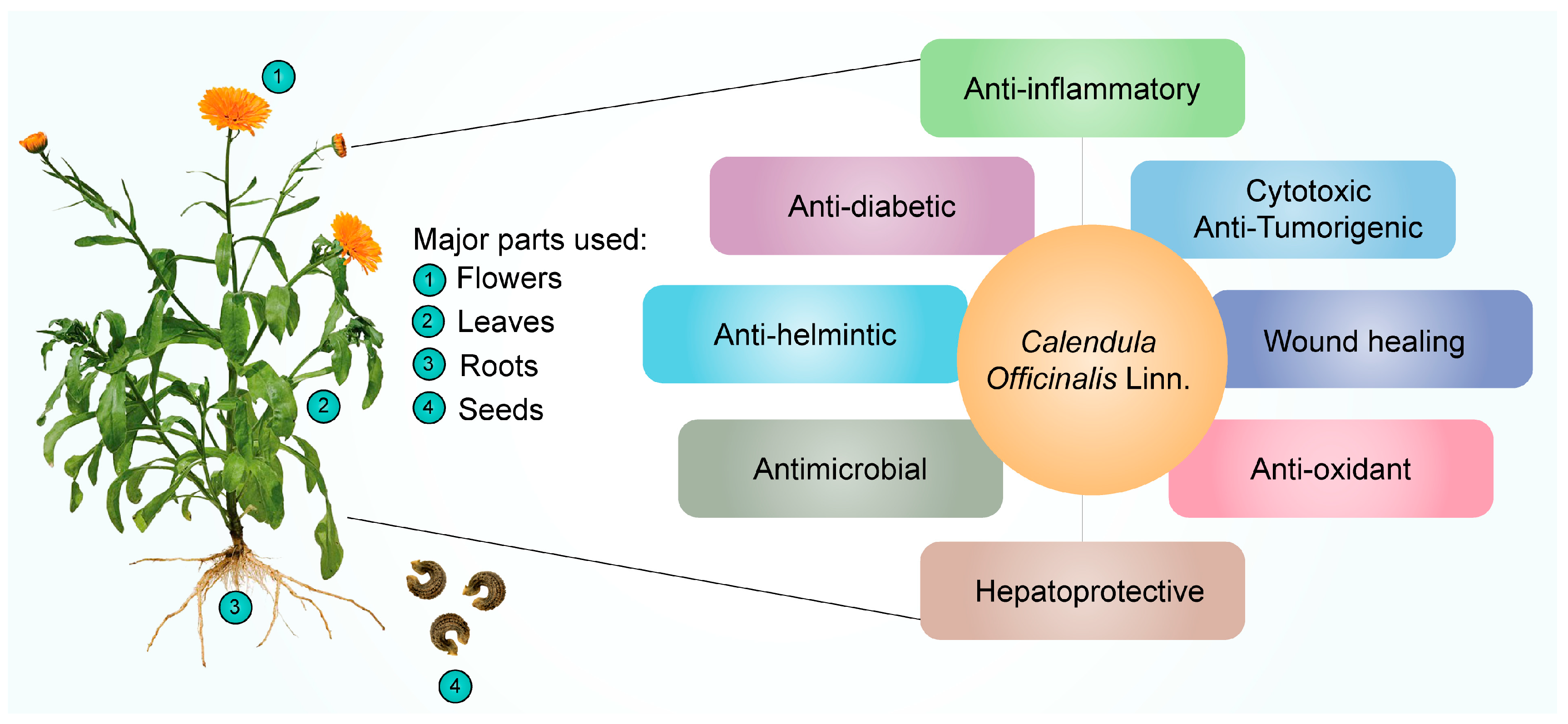 Pharmaceuticals 16 00611 g002 Pharmaceuticals 16 00611 g002