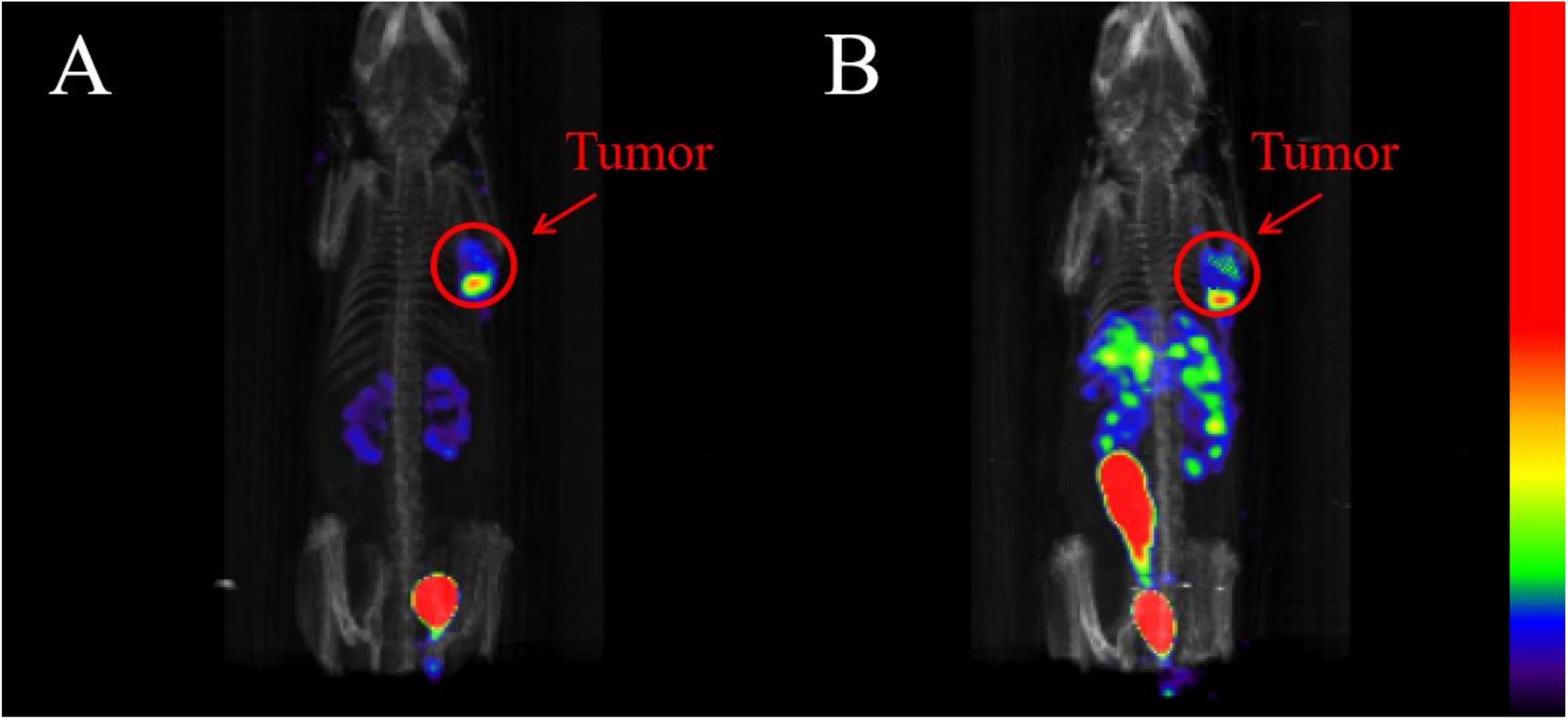 Pharmaceuticals 16 00612 g005