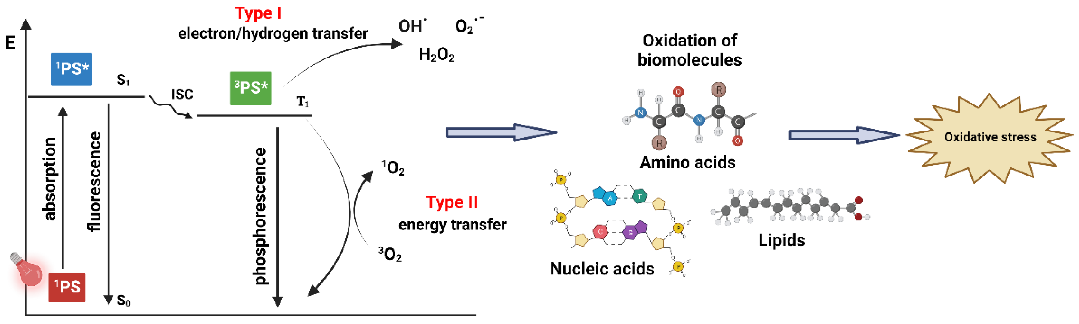 Pharmaceuticals 16 00613 g001 Pharmaceuticals 16 00613 g001