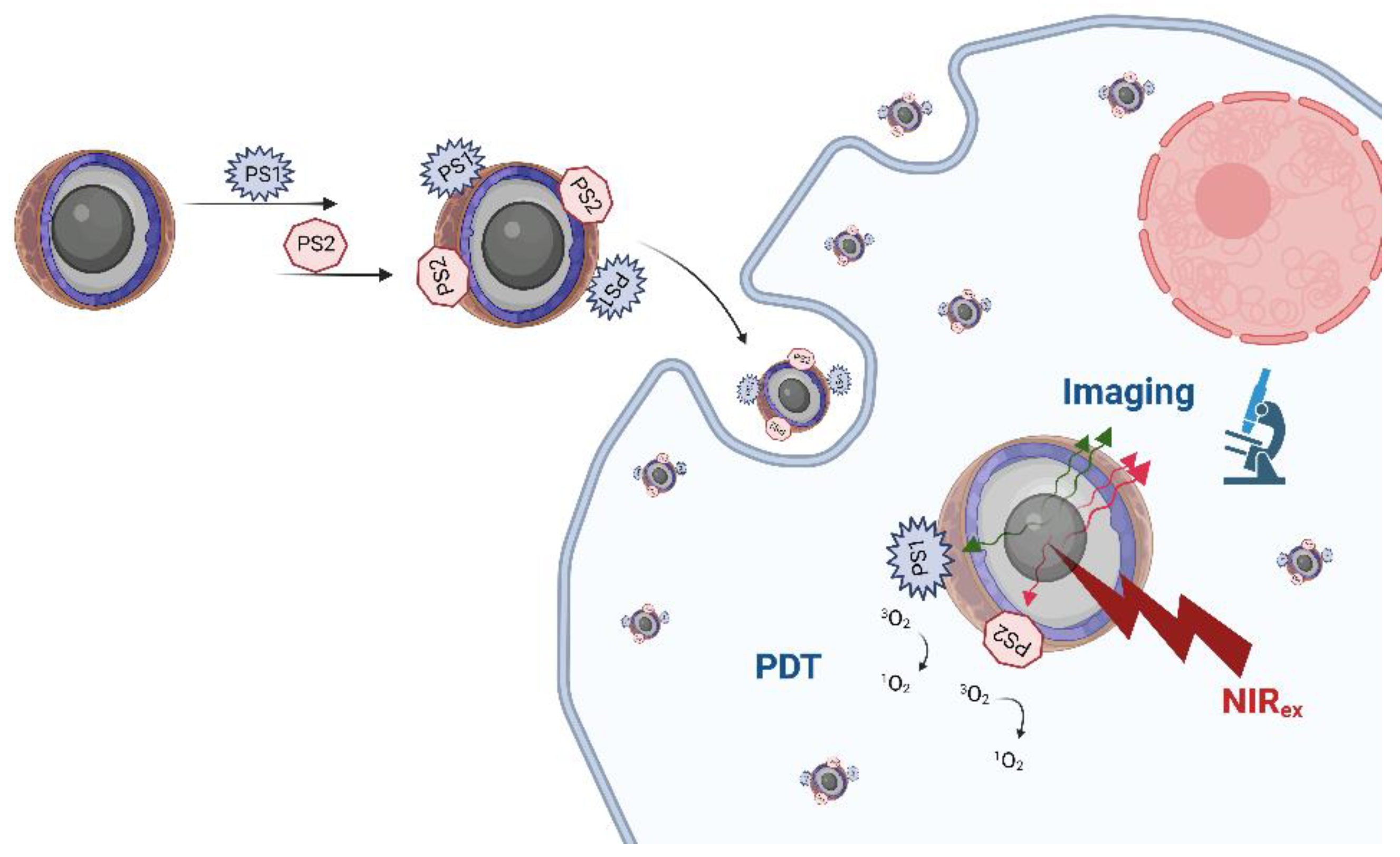 Pharmaceuticals 16 00613 g005 Pharmaceuticals 16 00613 g005