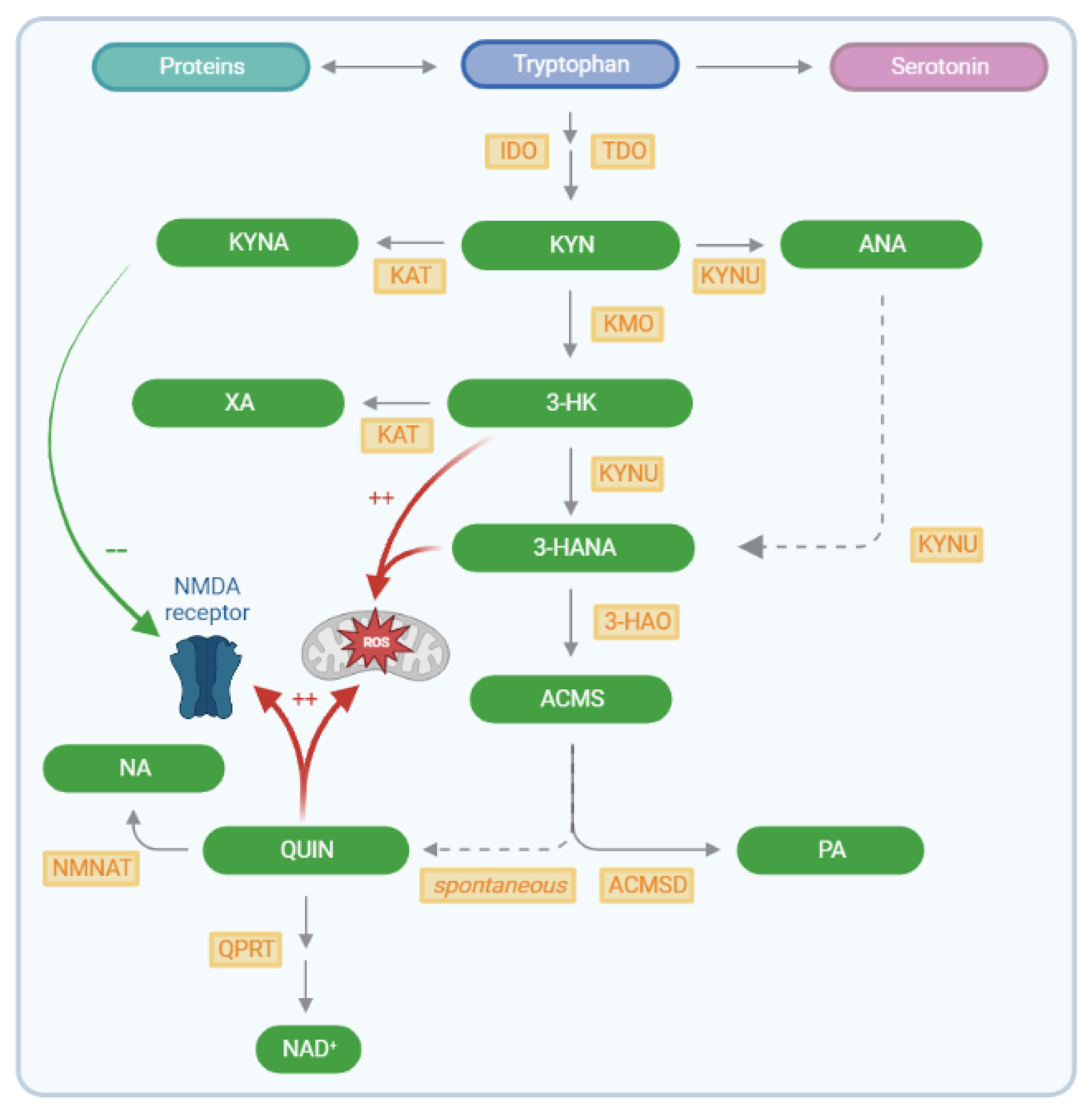 Pharmaceuticals 16 00615 g001