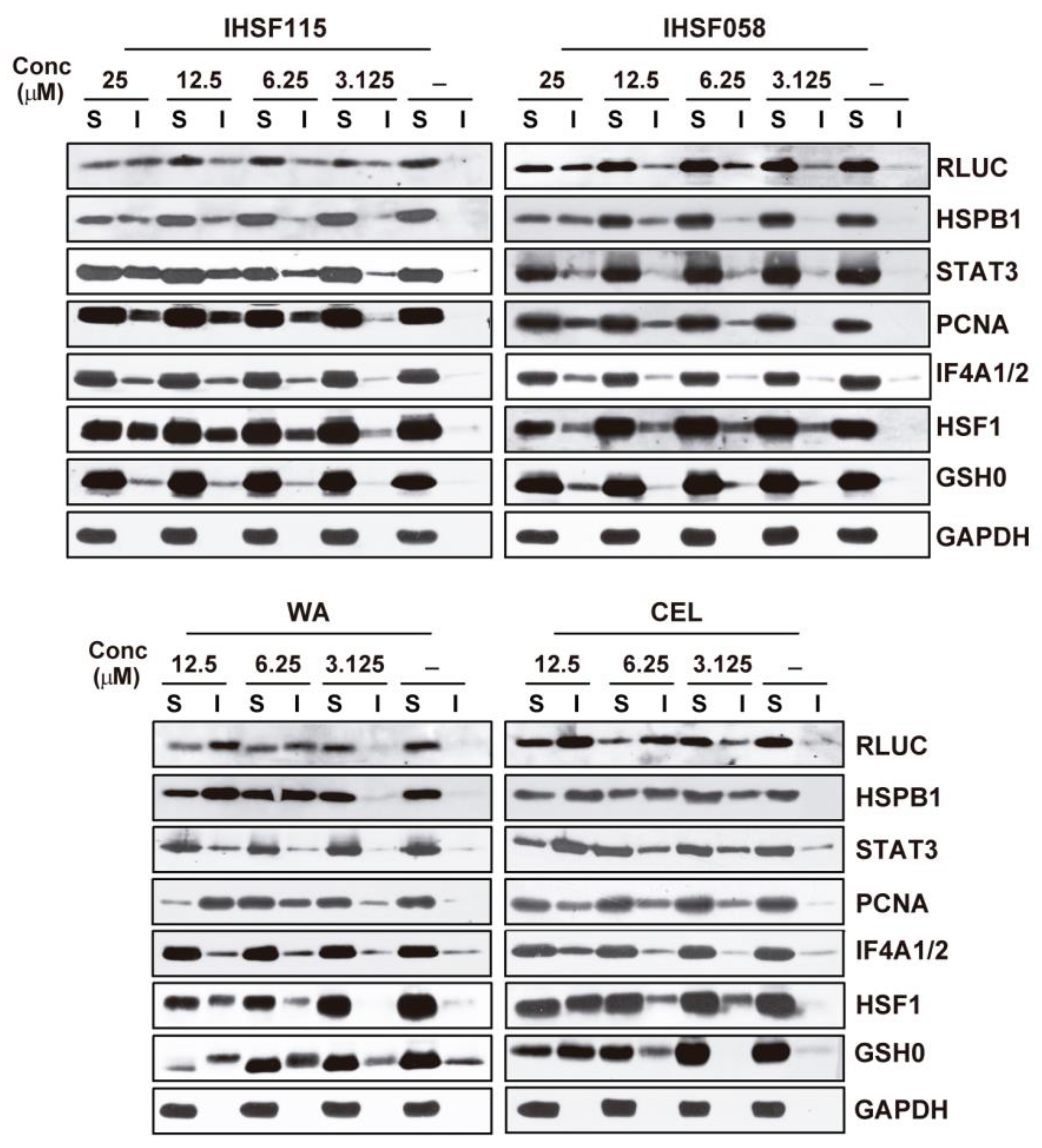 Pharmaceuticals 16 00616 g002