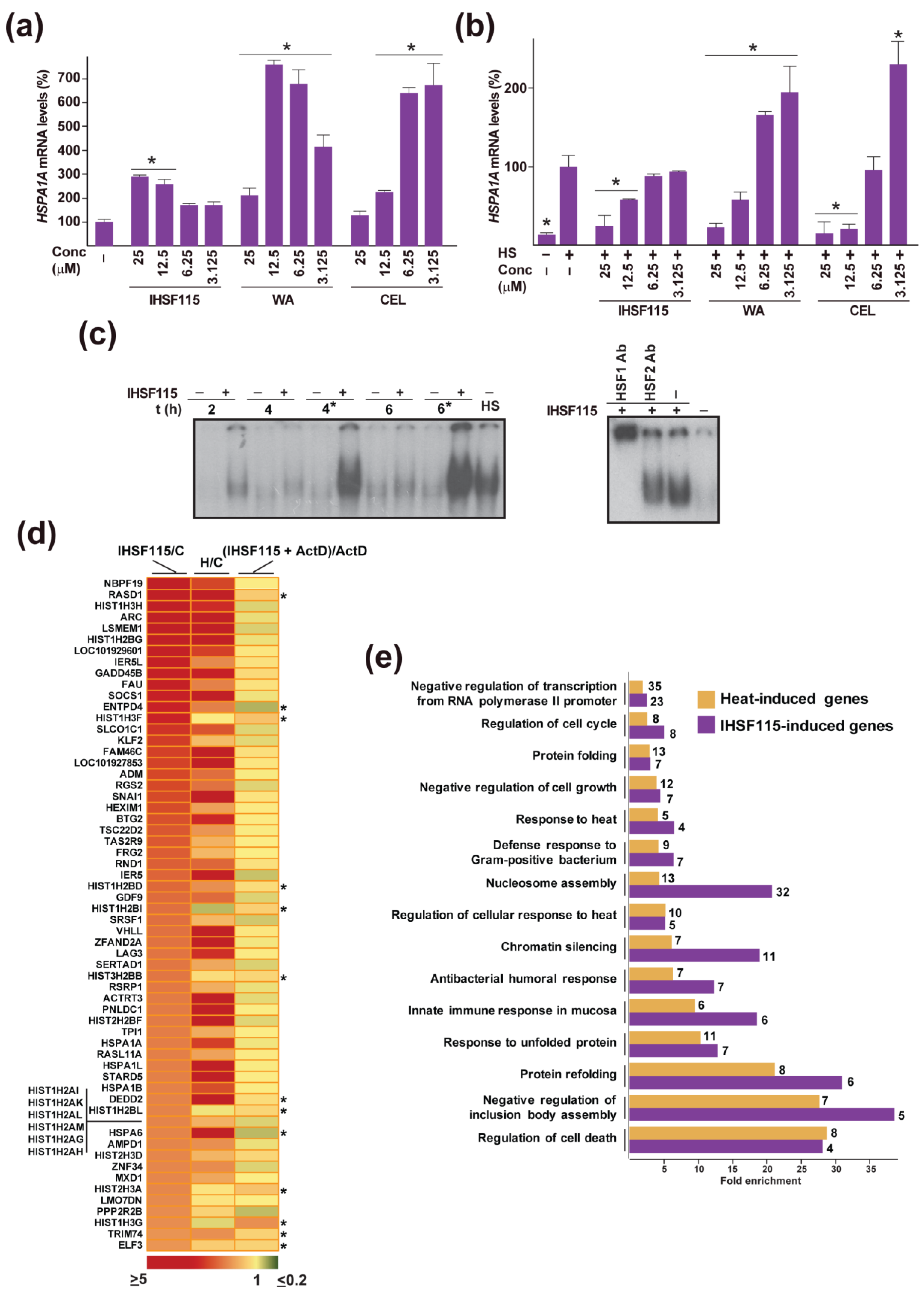 Pharmaceuticals 16 00616 g005