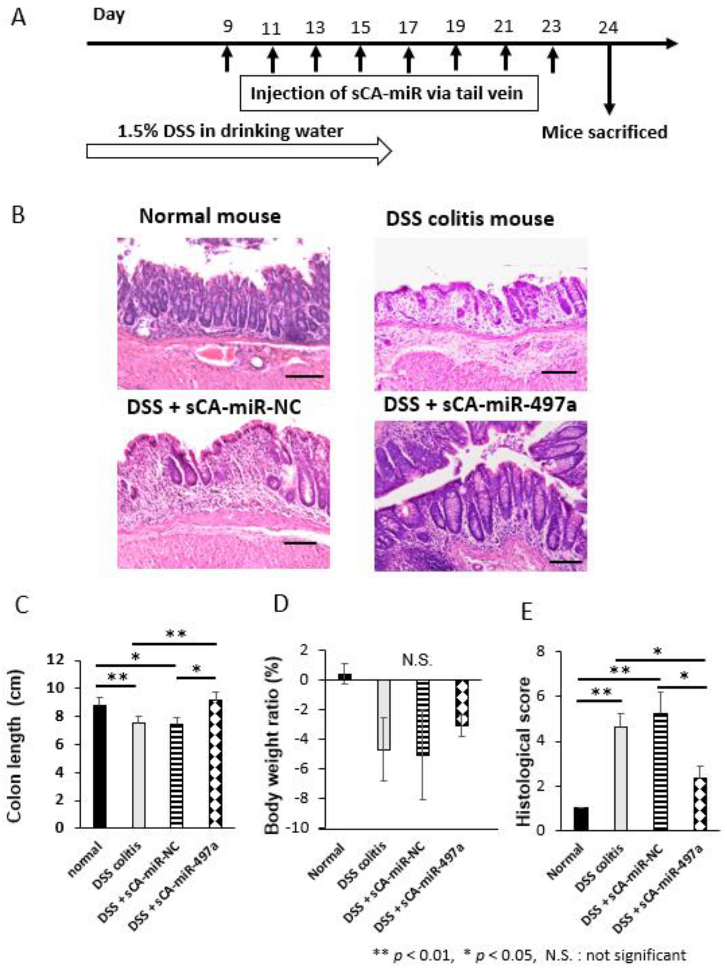 Pharmaceuticals 16 00618 g007