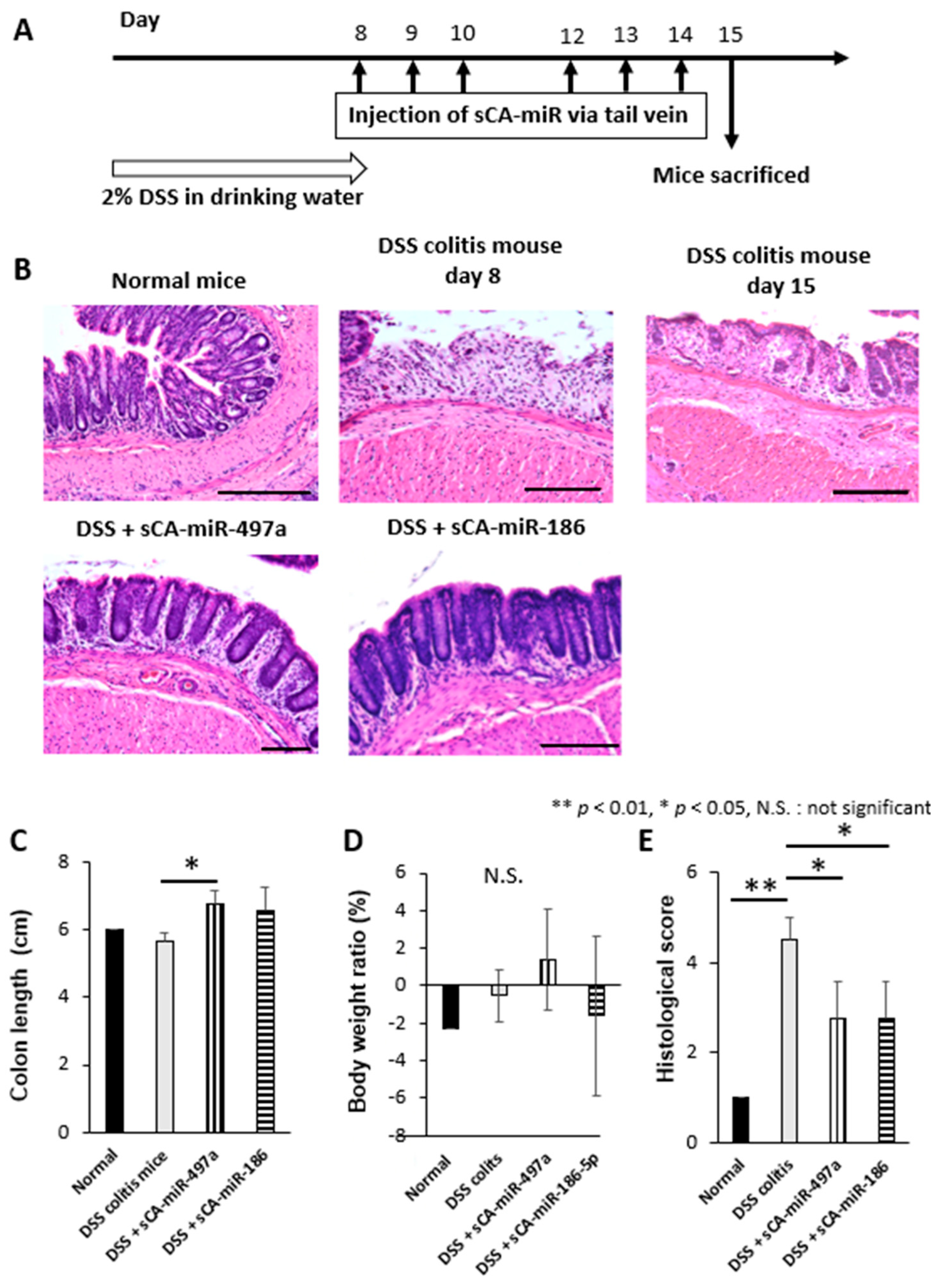 Pharmaceuticals 16 00618 g008