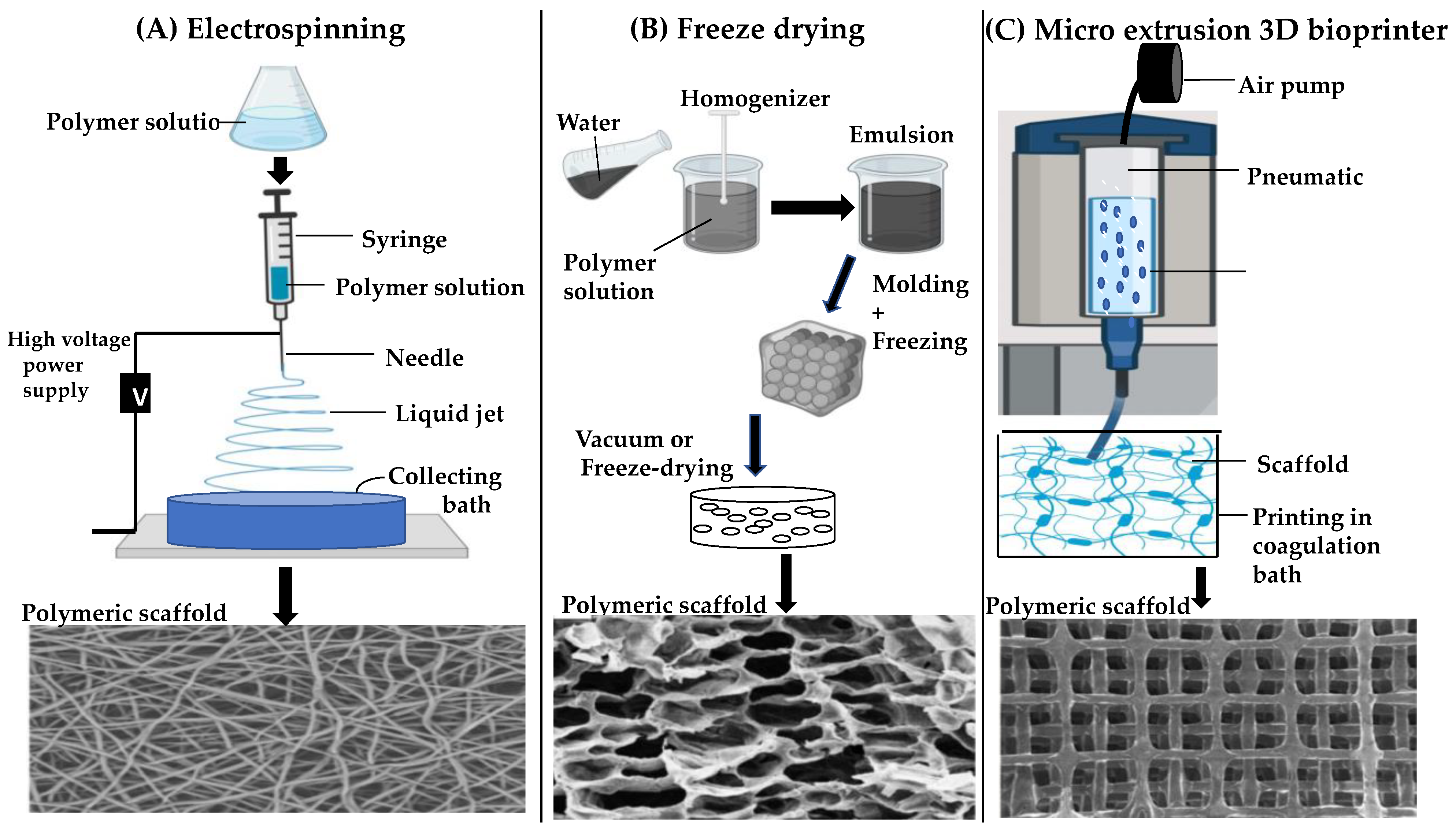 Pharmaceuticals 16 00620 g003 Pharmaceuticals 16 00620 g003