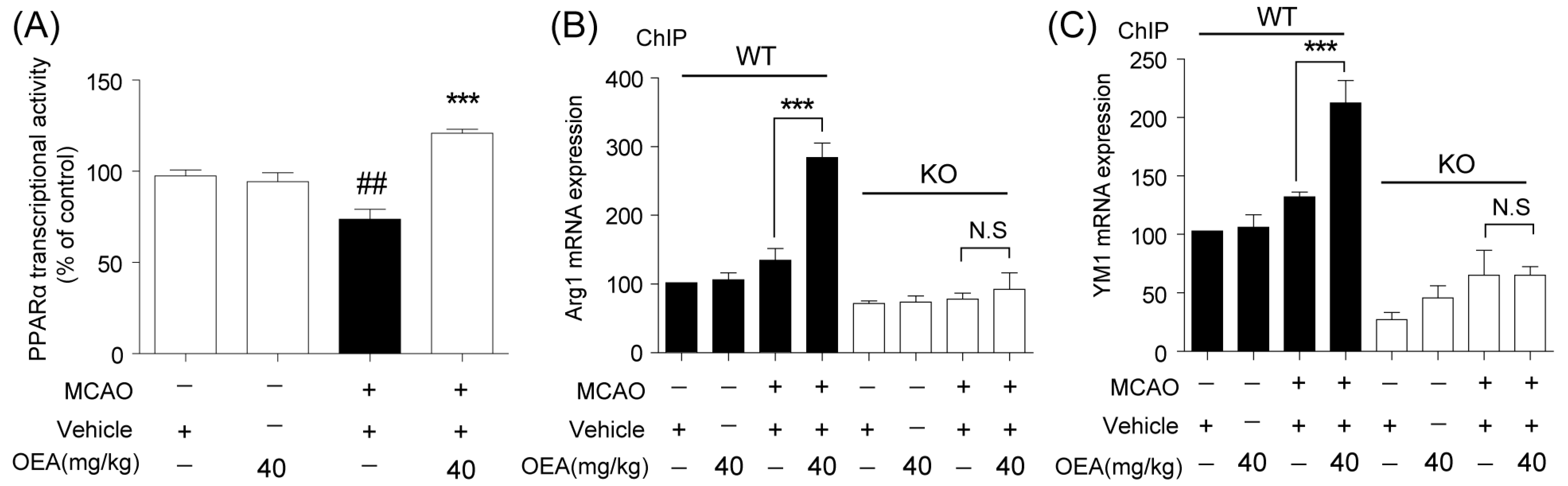 Pharmaceuticals 16 00621 g004