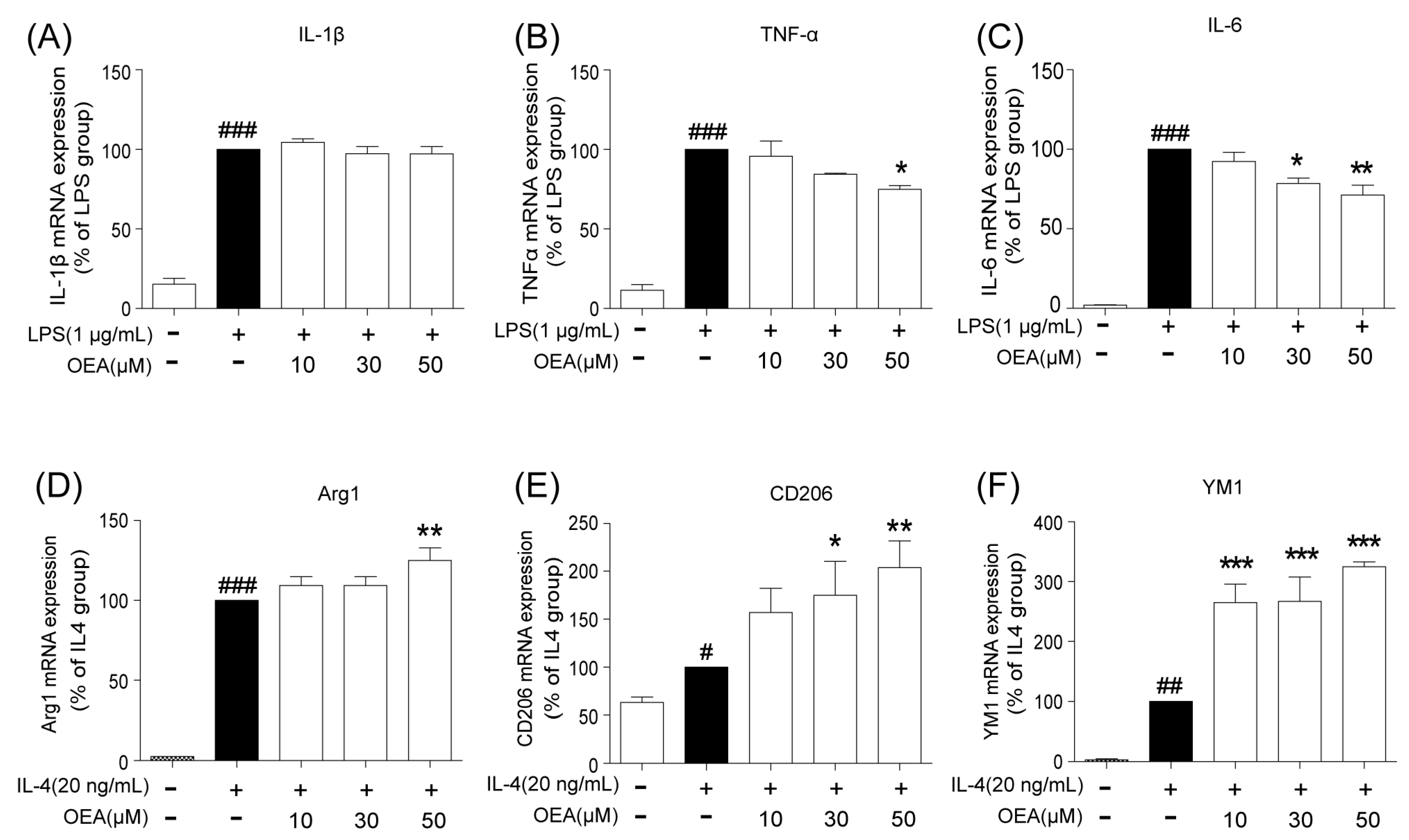 Pharmaceuticals 16 00621 g005