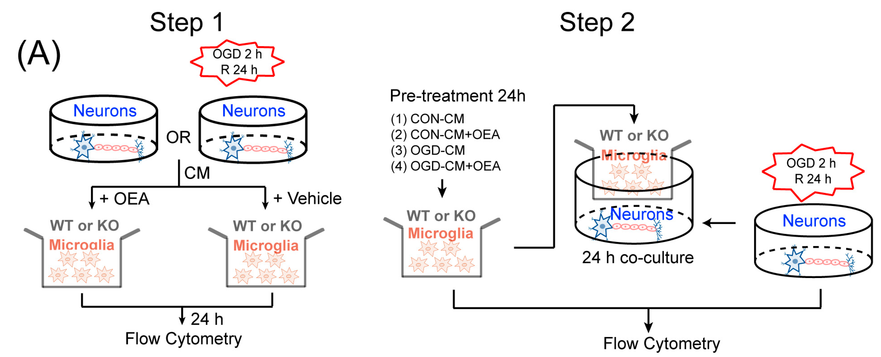 Pharmaceuticals 16 00621 g007a