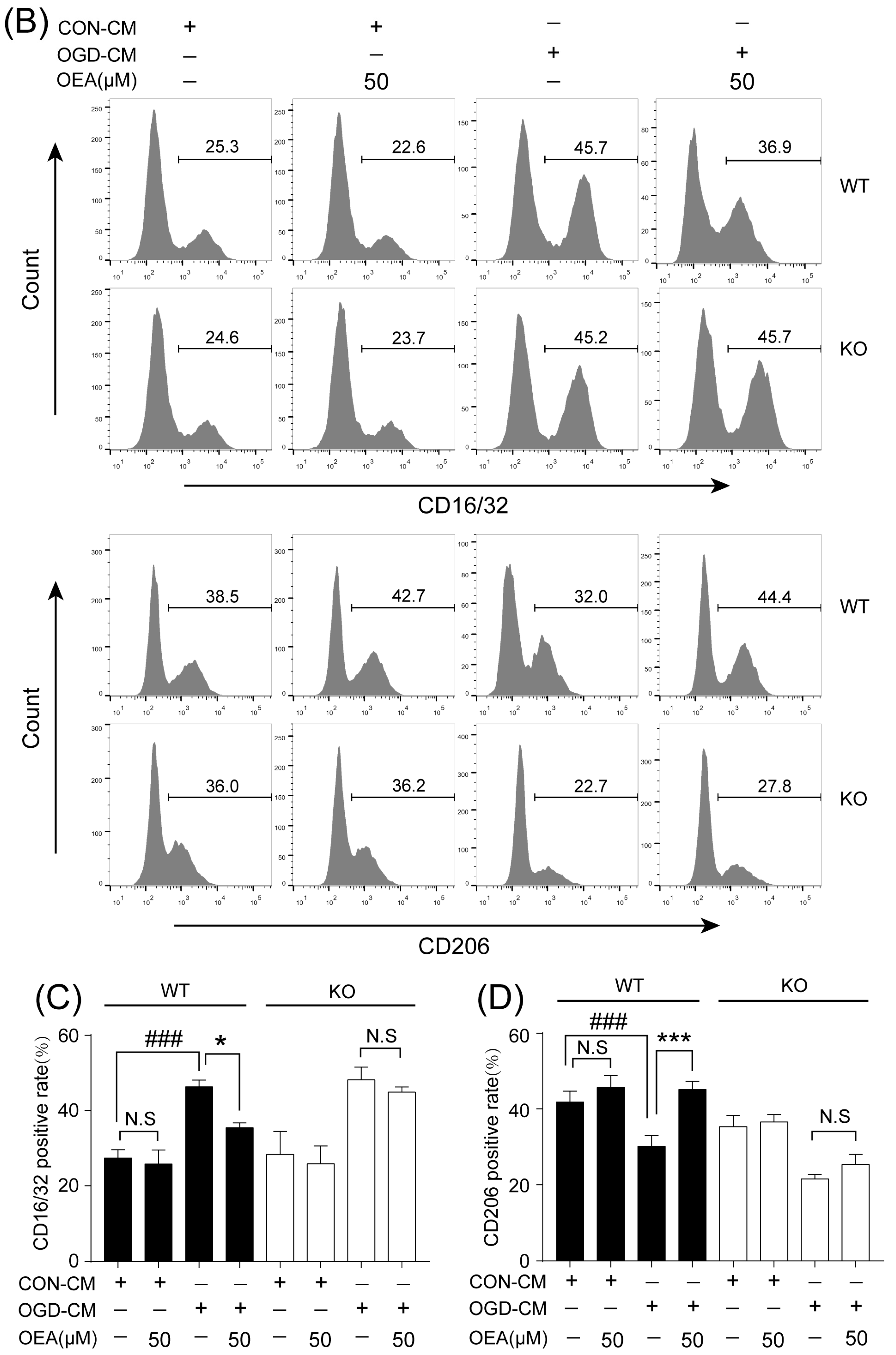 Pharmaceuticals 16 00621 g007b