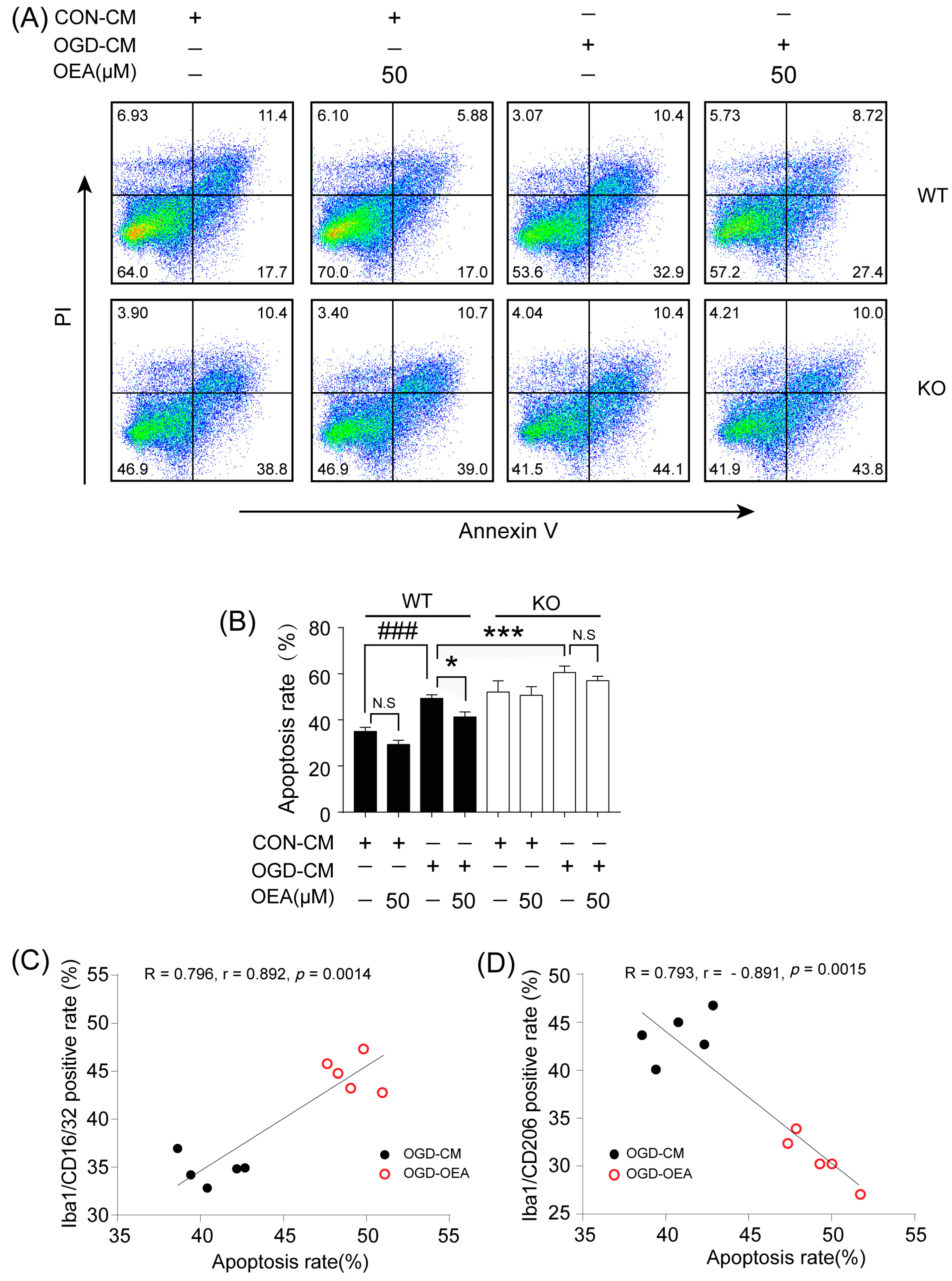 Pharmaceuticals 16 00621 g008