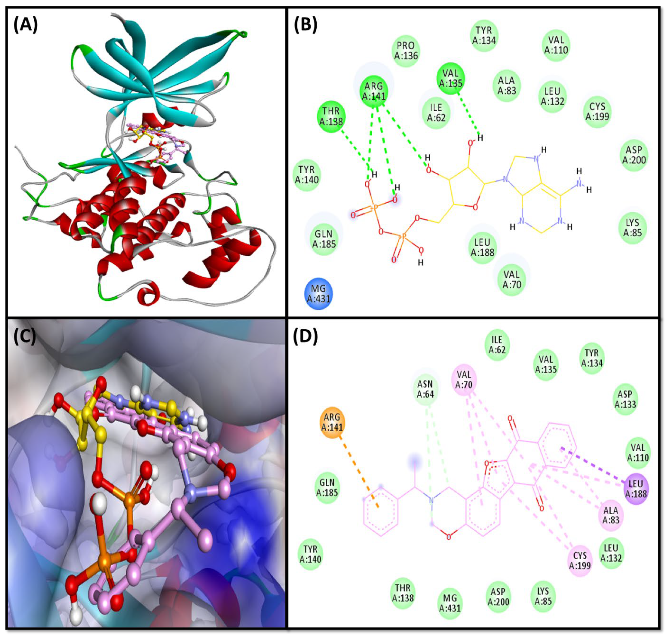 Pharmaceuticals 16 00622 g003