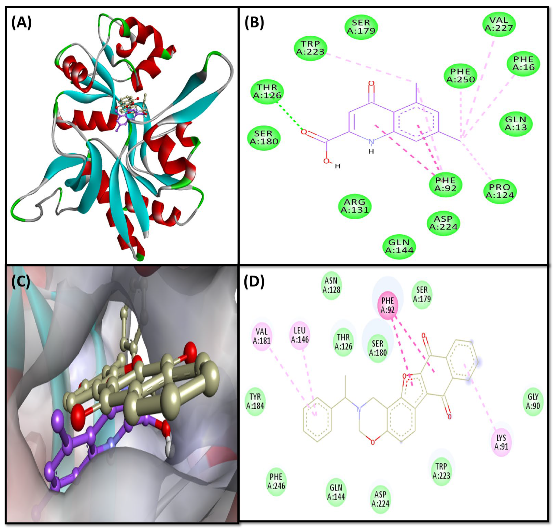 Pharmaceuticals 16 00622 g004