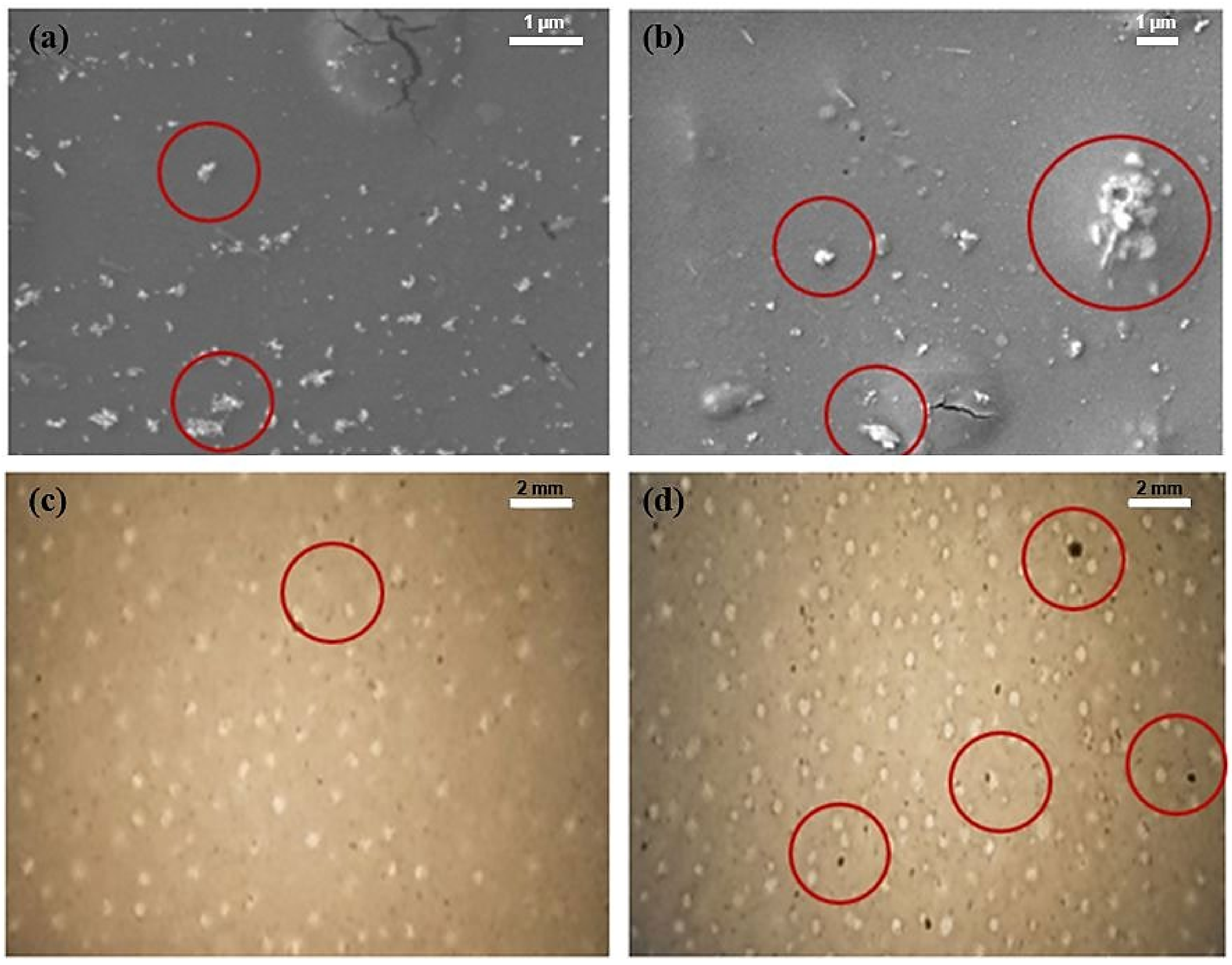 Pharmaceuticals 16 00627 g008 Pharmaceuticals 16 00627 g008