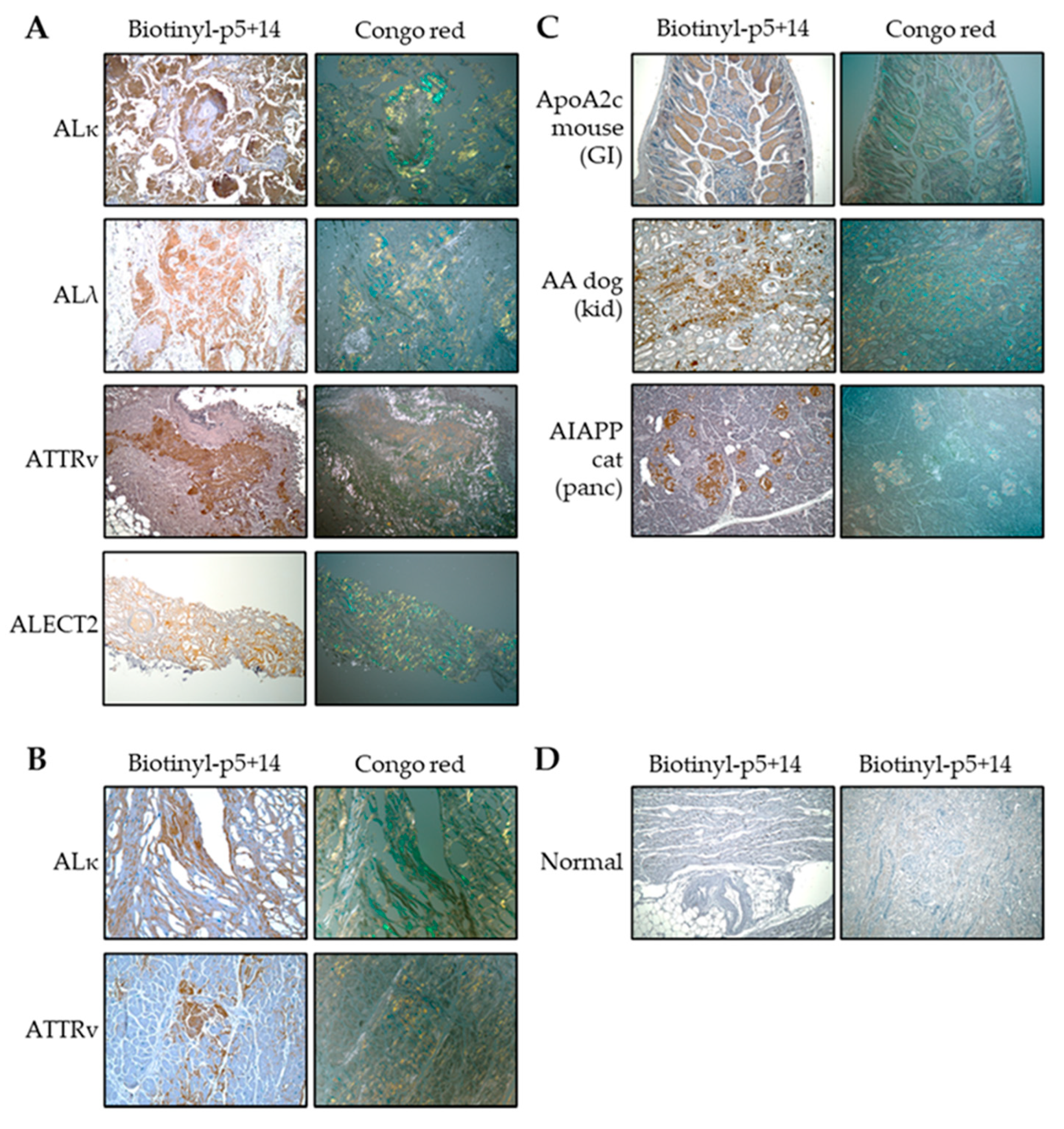 Pharmaceuticals 16 00629 g001 Pharmaceuticals 16 00629 g001