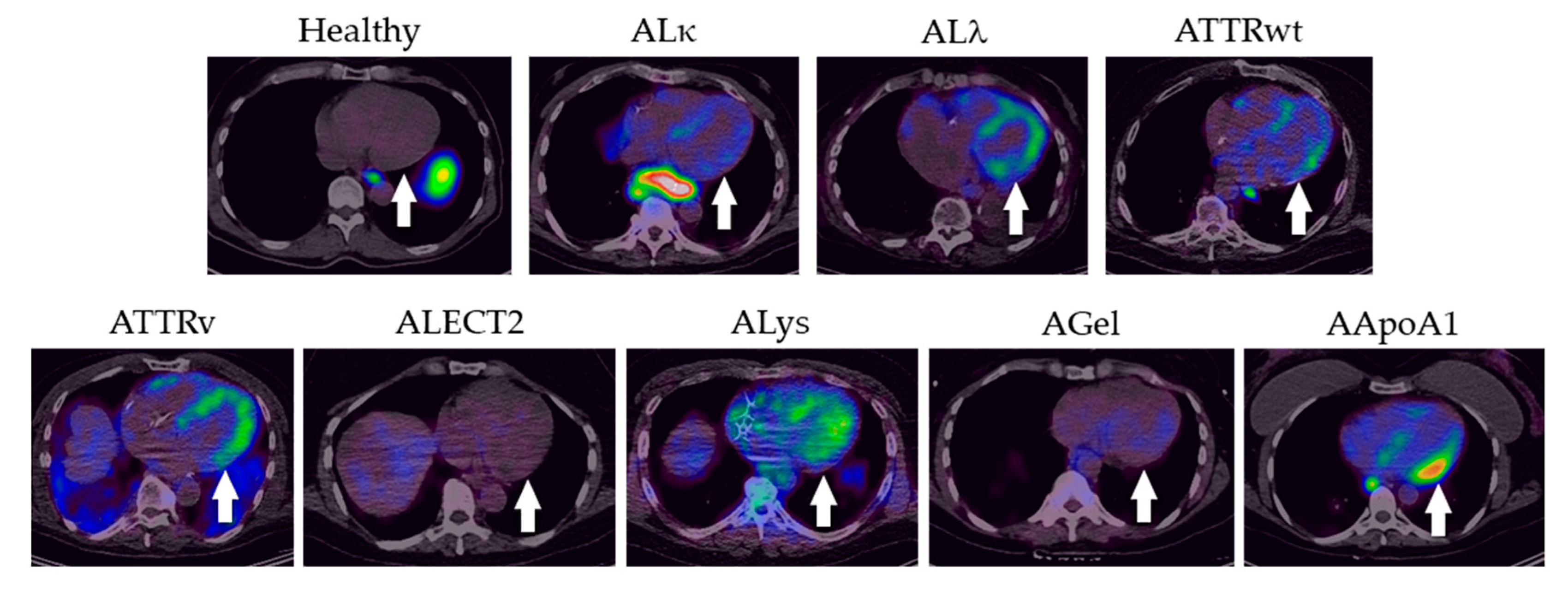 Pharmaceuticals 16 00629 g004 Pharmaceuticals 16 00629 g004