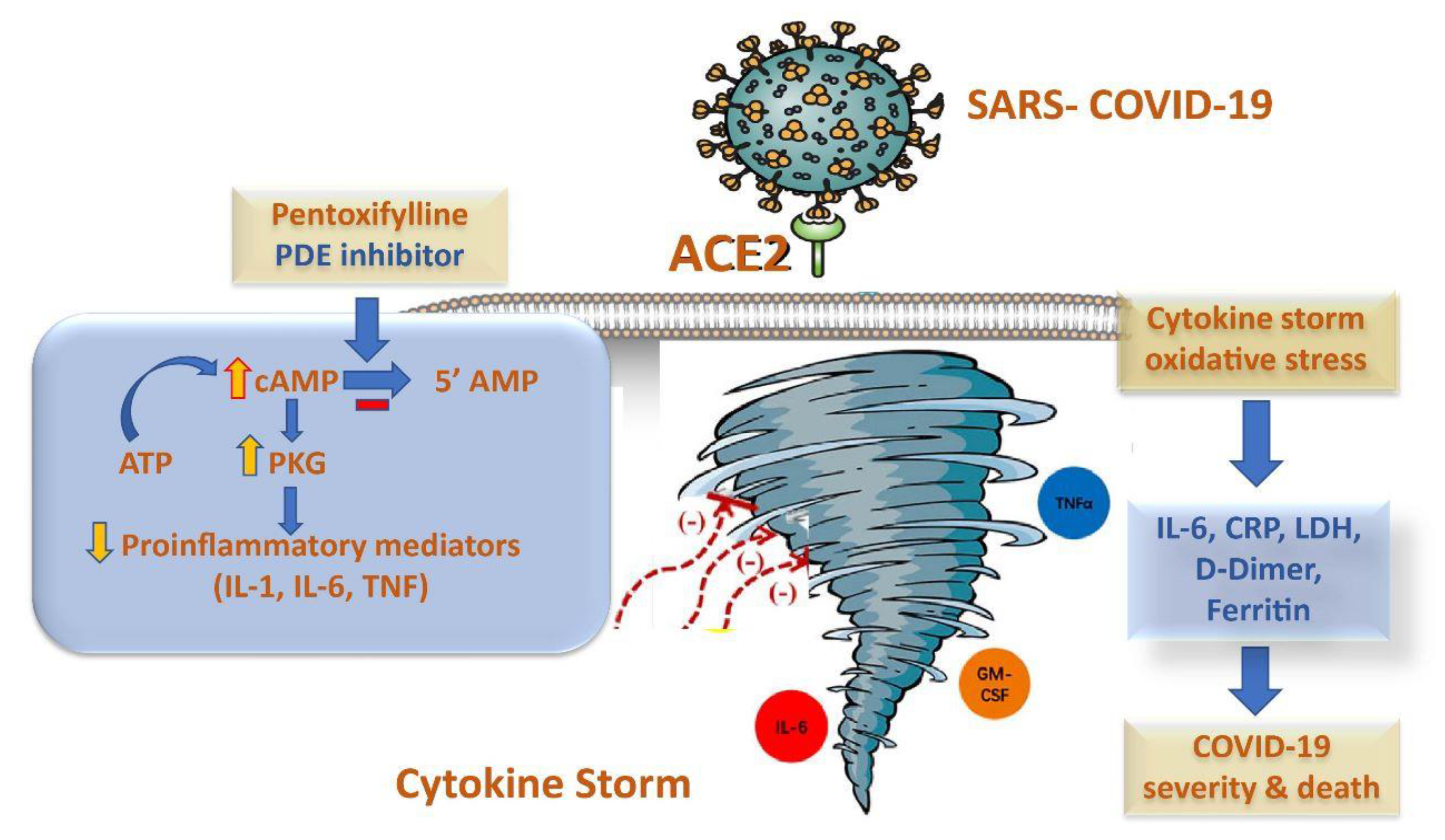Pharmaceuticals 16 00631 g001