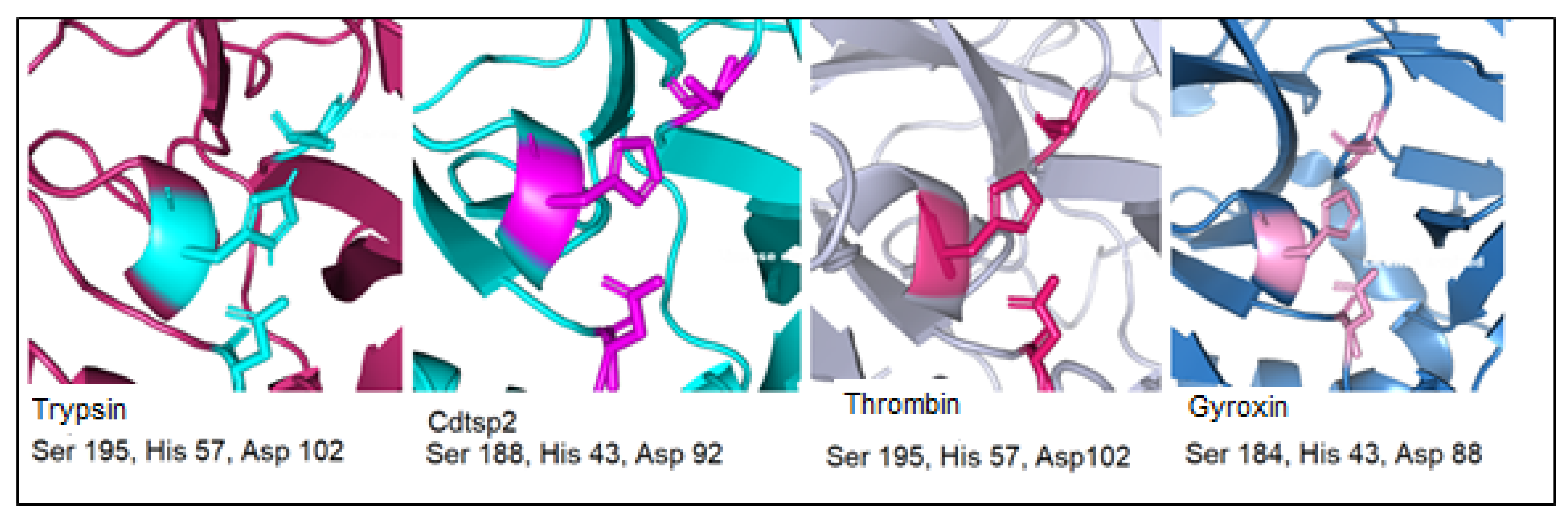 Pharmaceuticals 16 00632 g001 Pharmaceuticals 16 00632 g001