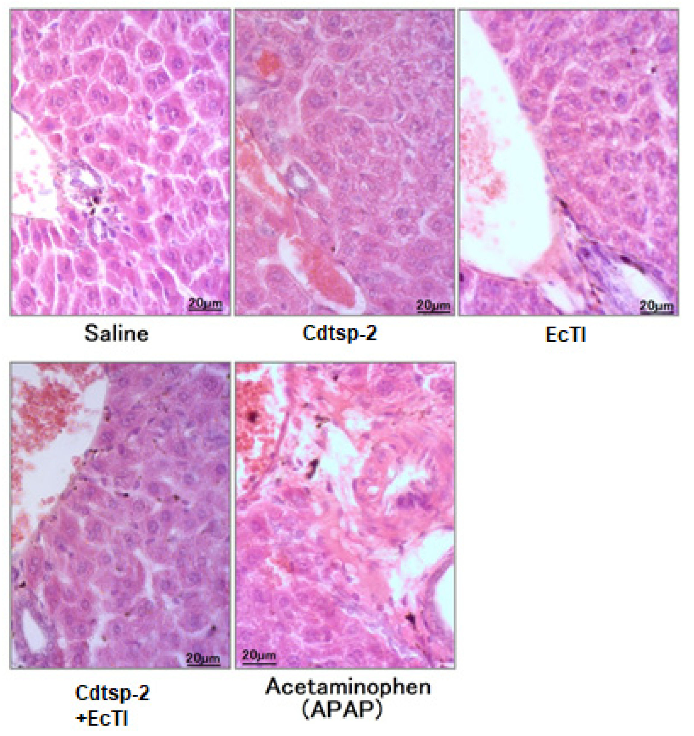 Pharmaceuticals 16 00632 g007 Pharmaceuticals 16 00632 g007