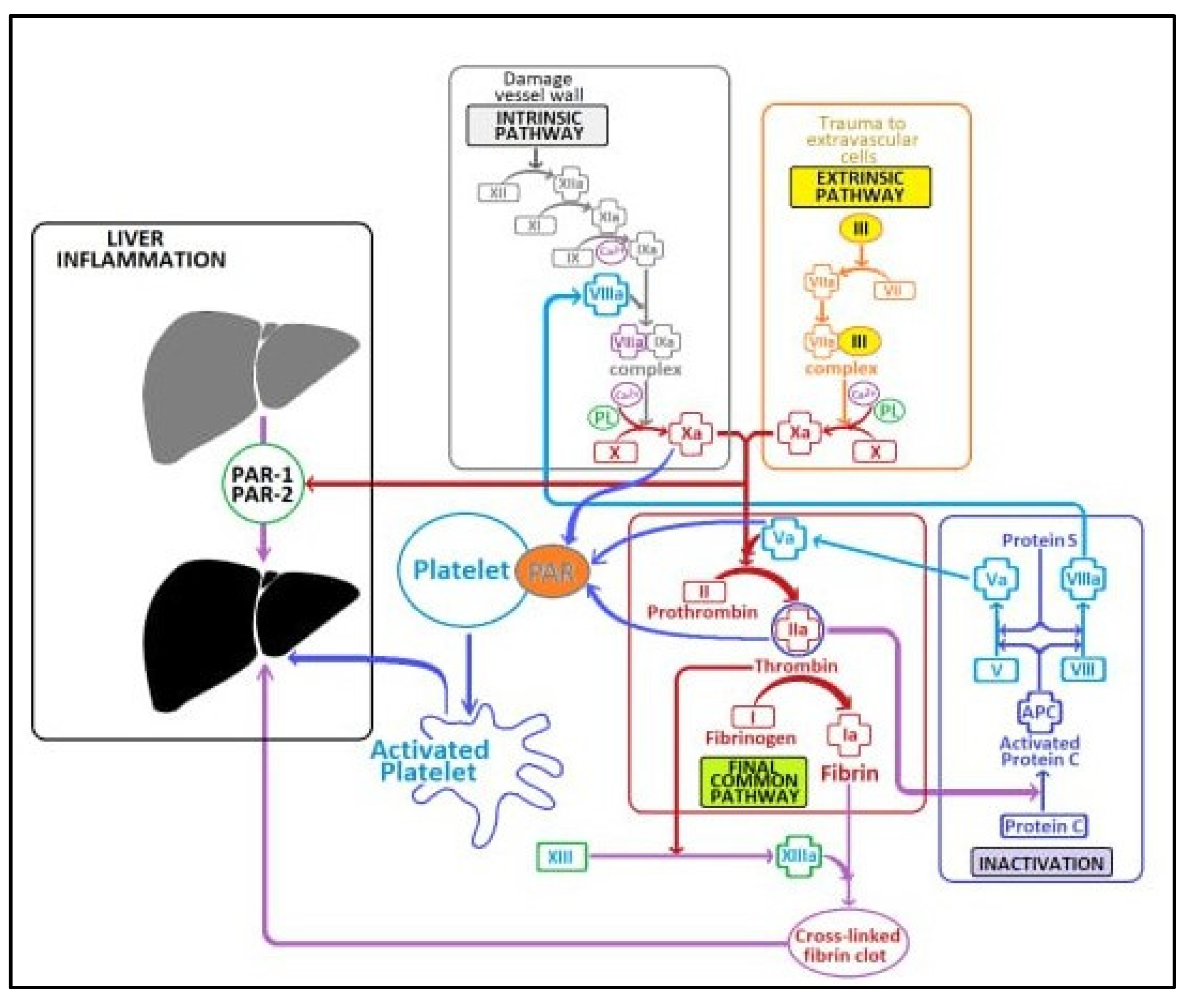 Pharmaceuticals 16 00632 sch001 Pharmaceuticals 16 00632 sch001